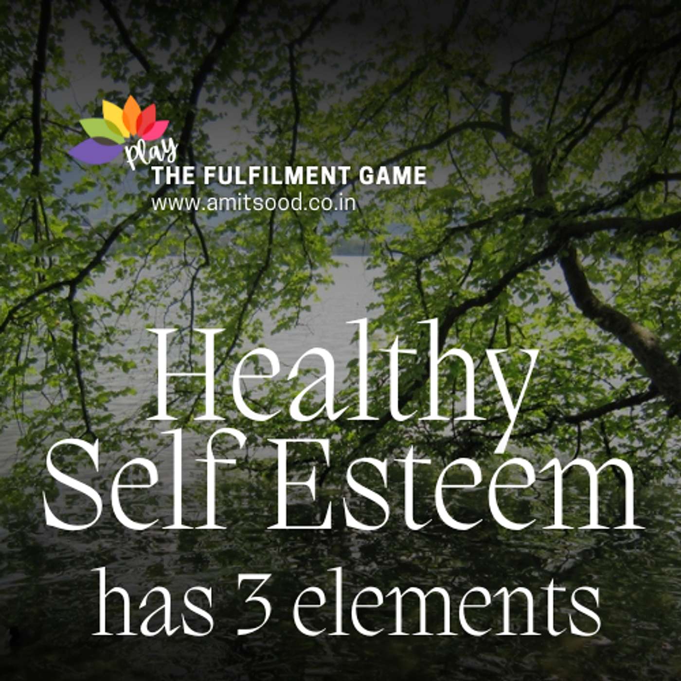Amit Sood, Coach on Life and Spiritual Fulfilment