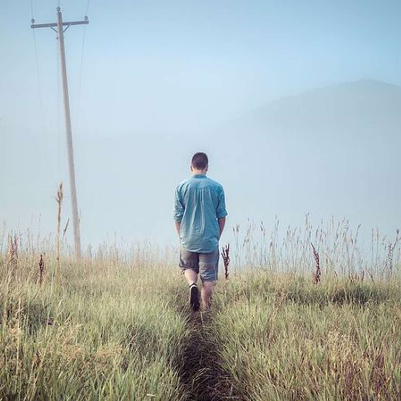 Walking With Pete: If You Want To Be A Lion Then Surround Yourself With Lions
