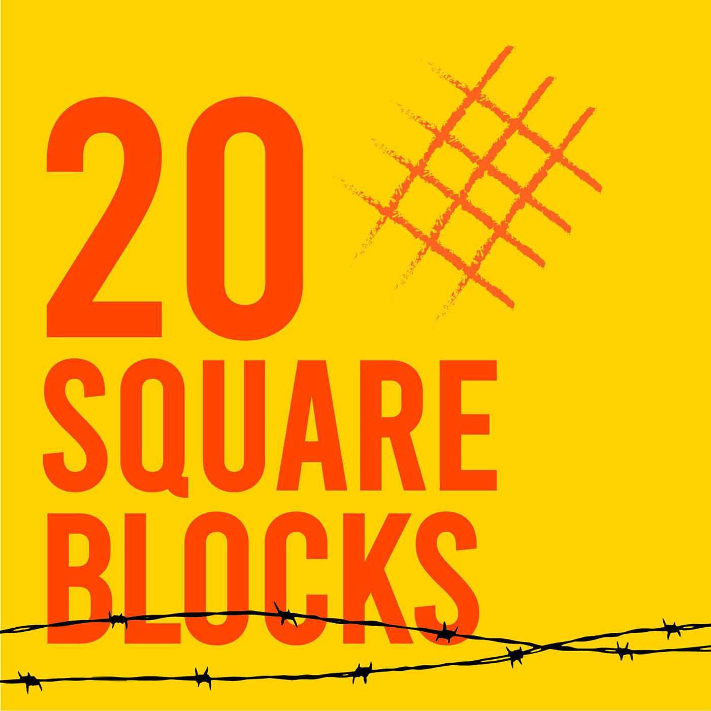 20 Square Blocks