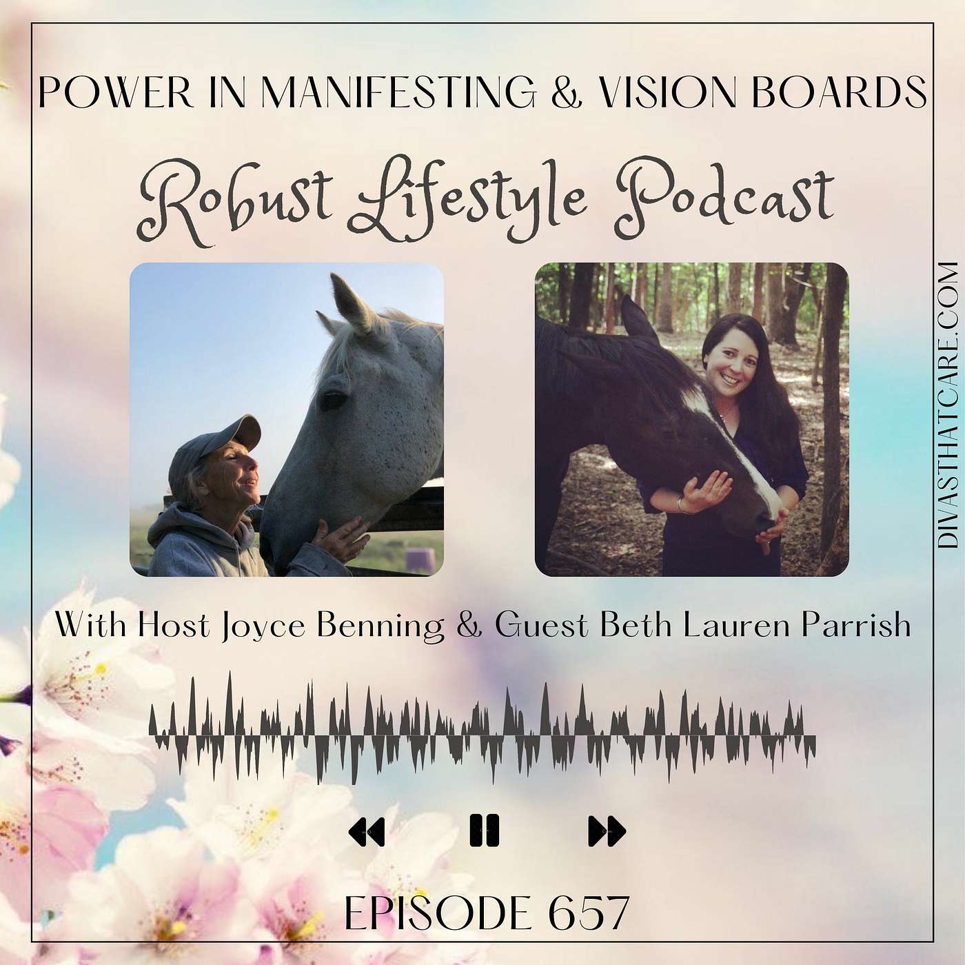 Power in Manifesting & Vision Boards episode artwork