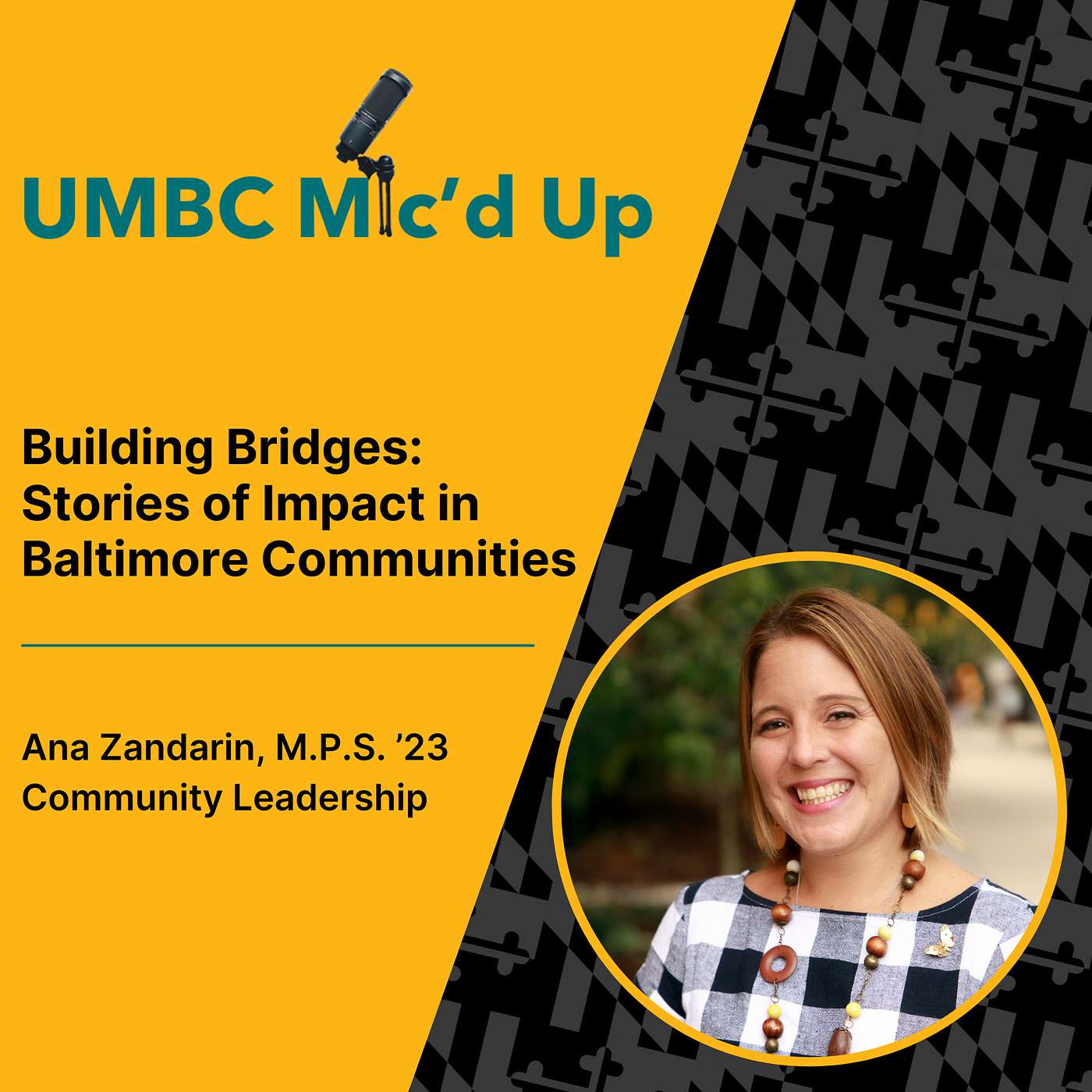Building Bridges - Stories of Impact in Baltimore Communities episode artwork