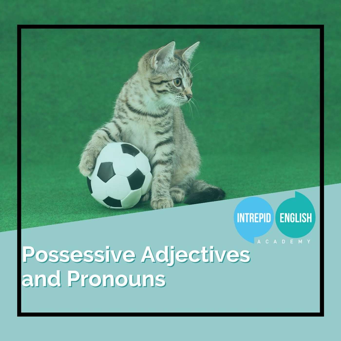 How to use possessive adjectives and pronouns