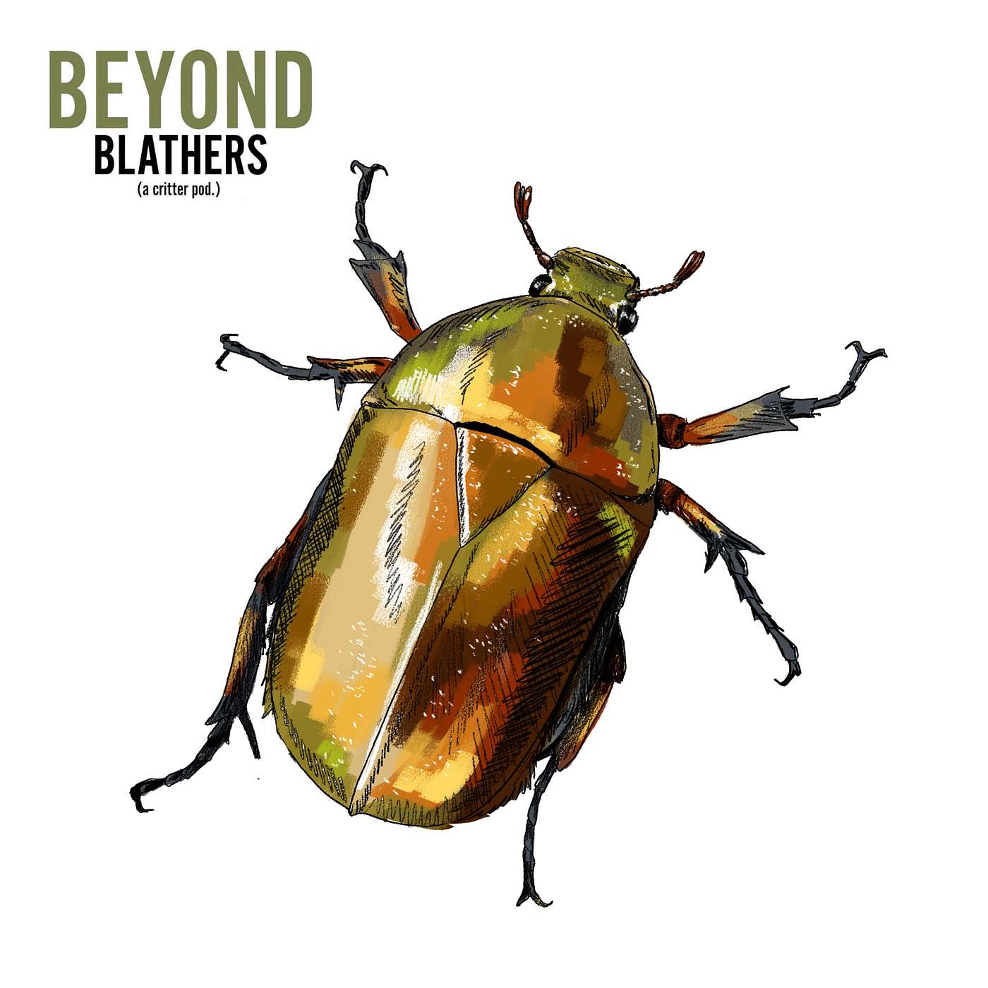 Beyond Blathers