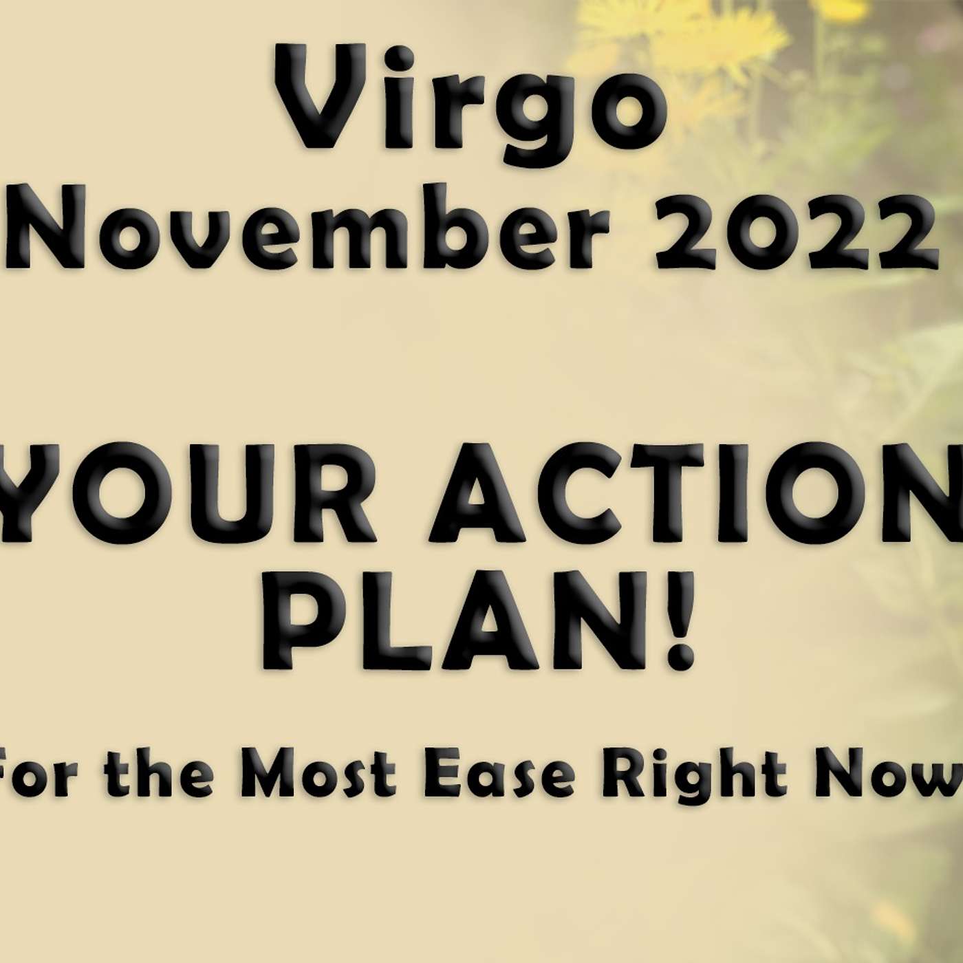 Virgo November 2022 YOUR ACTION PLAN (For the Most Ease Right Now!) Astrology Horoscope Forecast