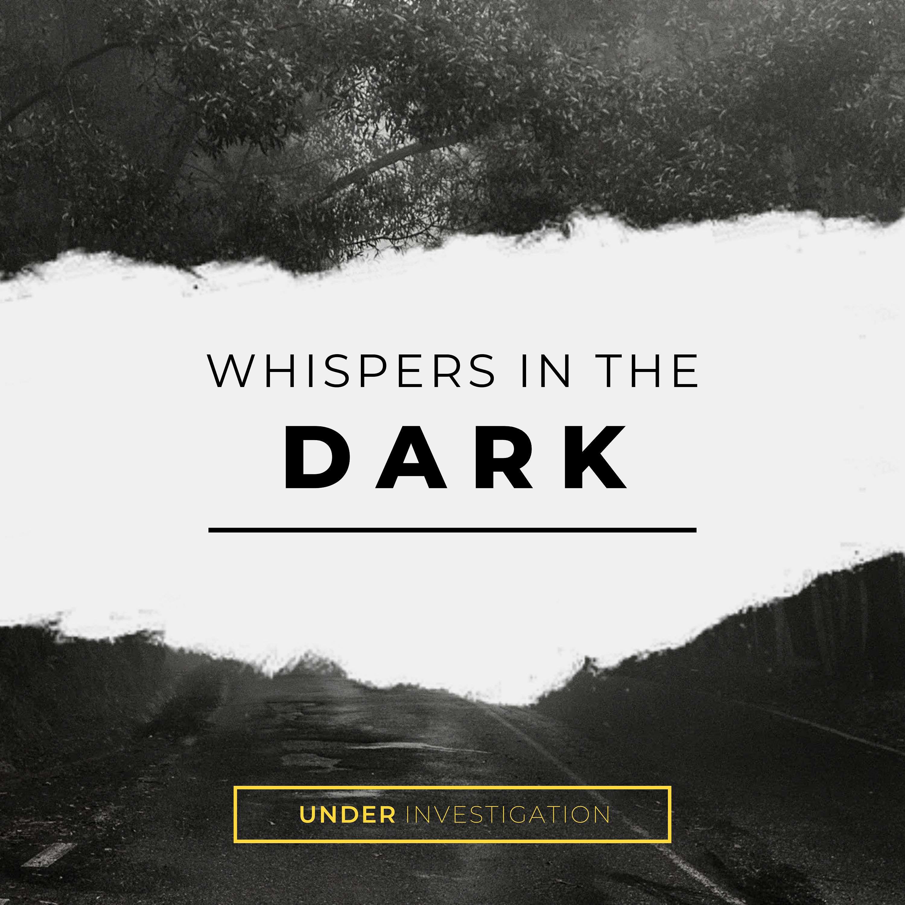 Whispers in the Dark