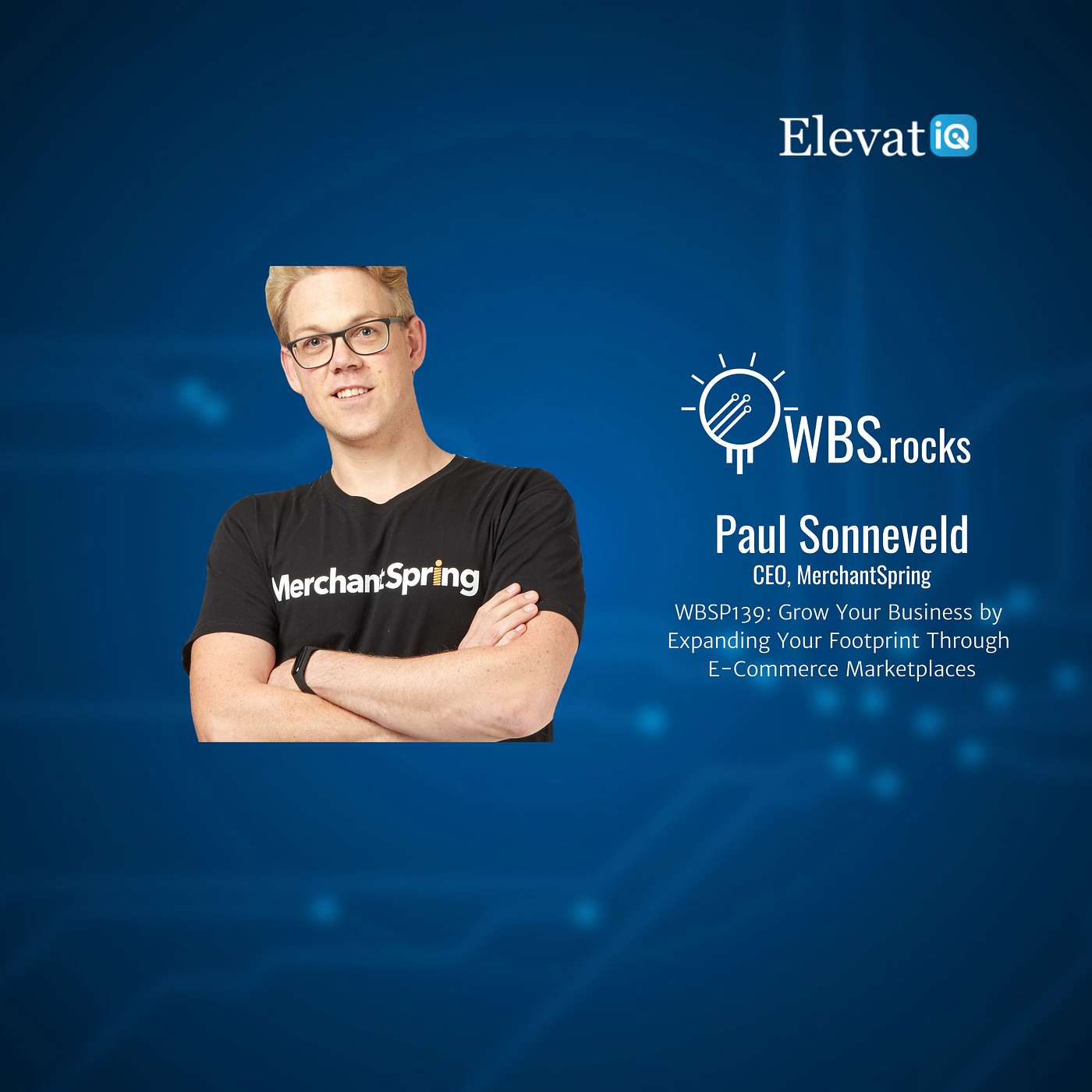 WBSP139: Grow Your Business by Expanding Your Footprint Through E-Commerce Marketplaces w/ Paul Sonneveld
