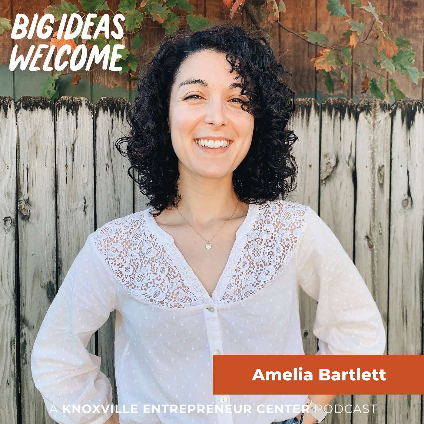 Big Ideas Welcome