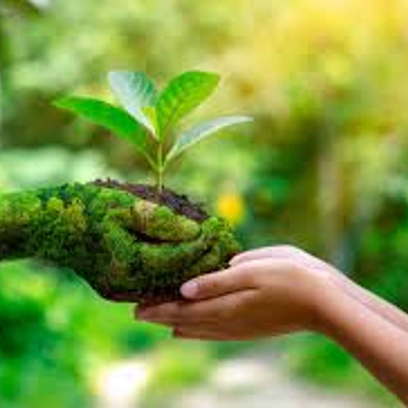 7 Benefits of Spending Time in Nature