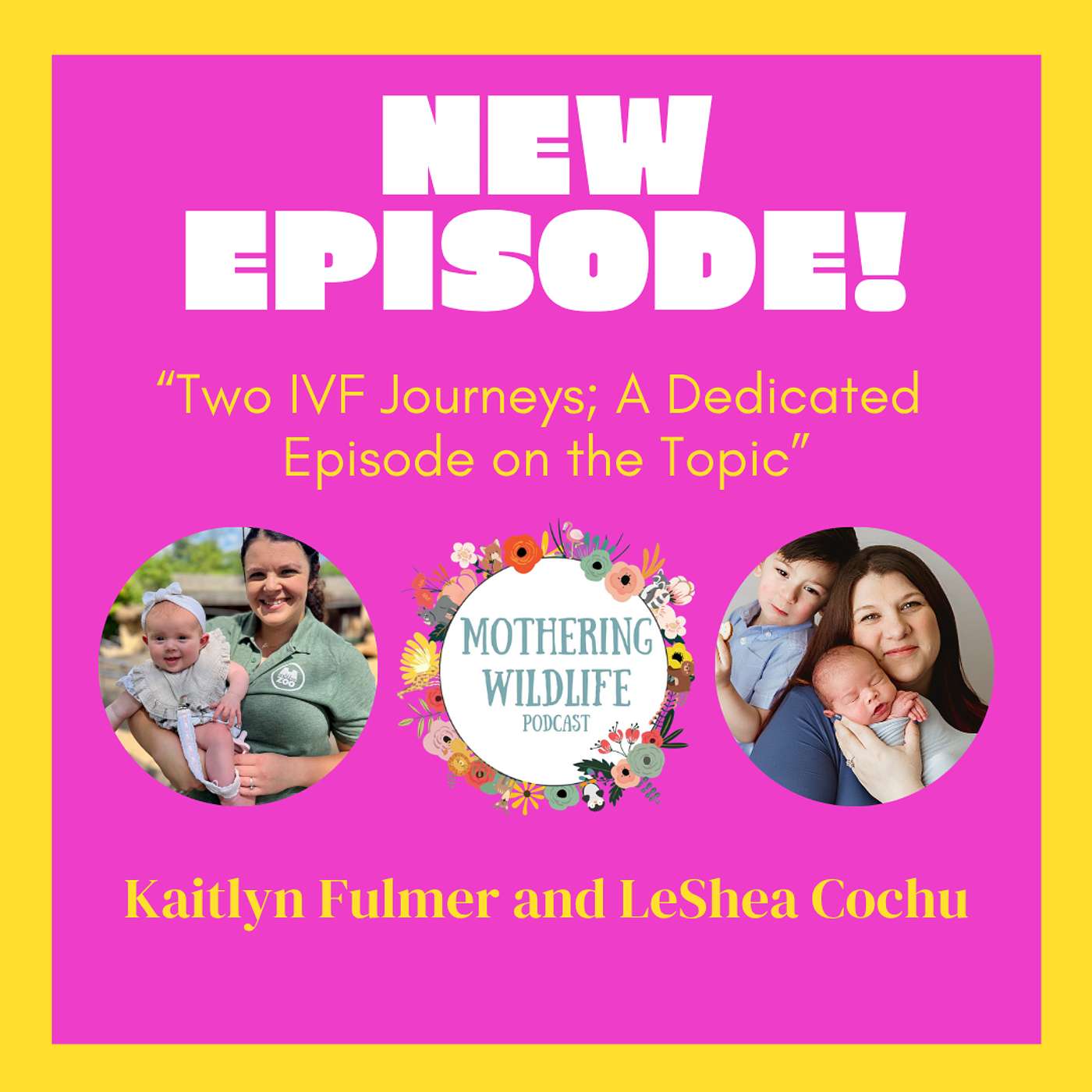 Two IVF Journeys; a Dedicated Episode on the Topic with Kaitlyn Fulmer from the Memphis Zoo and LeShea Cochu from the Chattanooga Zoo episode artwork