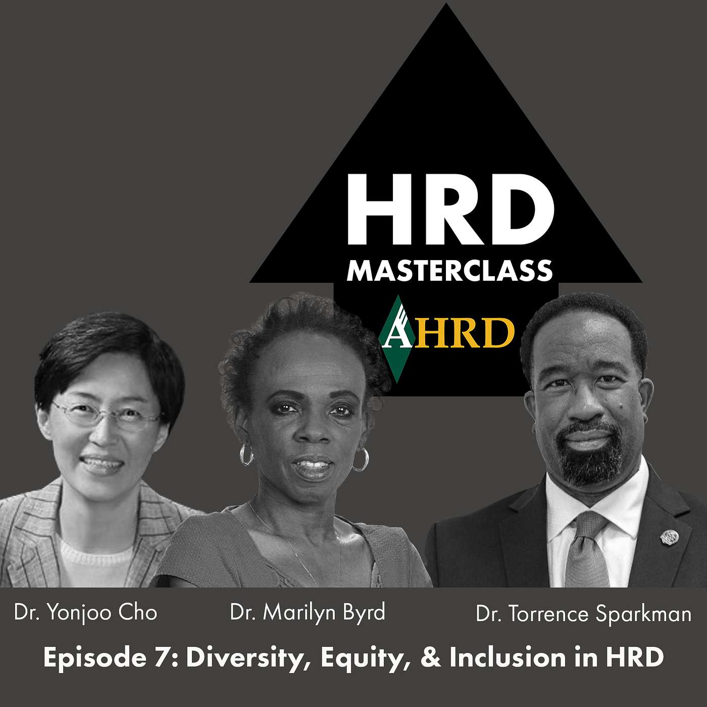 Diversity, Equity, & Inclusion in Human Resource Development
