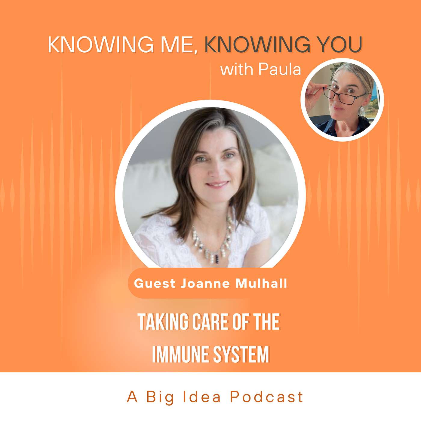 5. Taking Care of The Immune System w/Joanne Mulhall, Certified Nutritionist