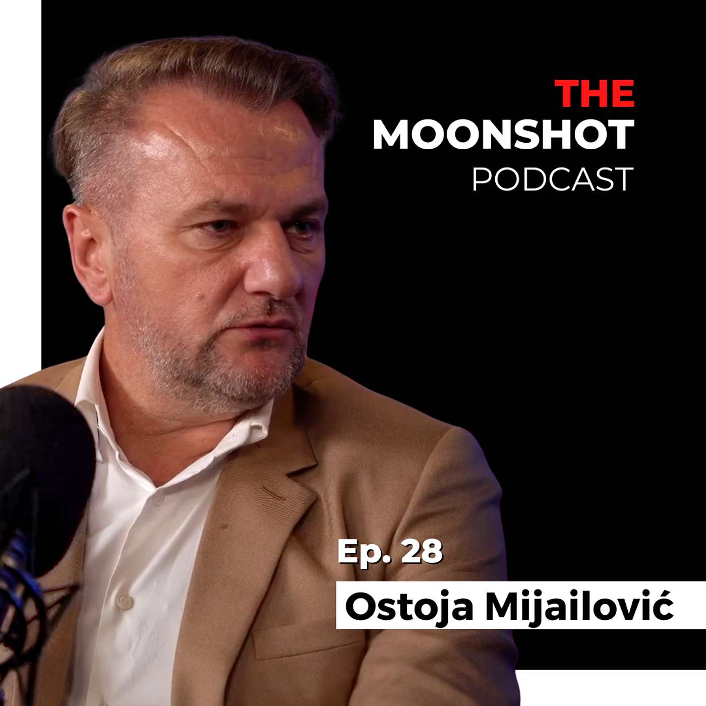 The Moonshot Podcast