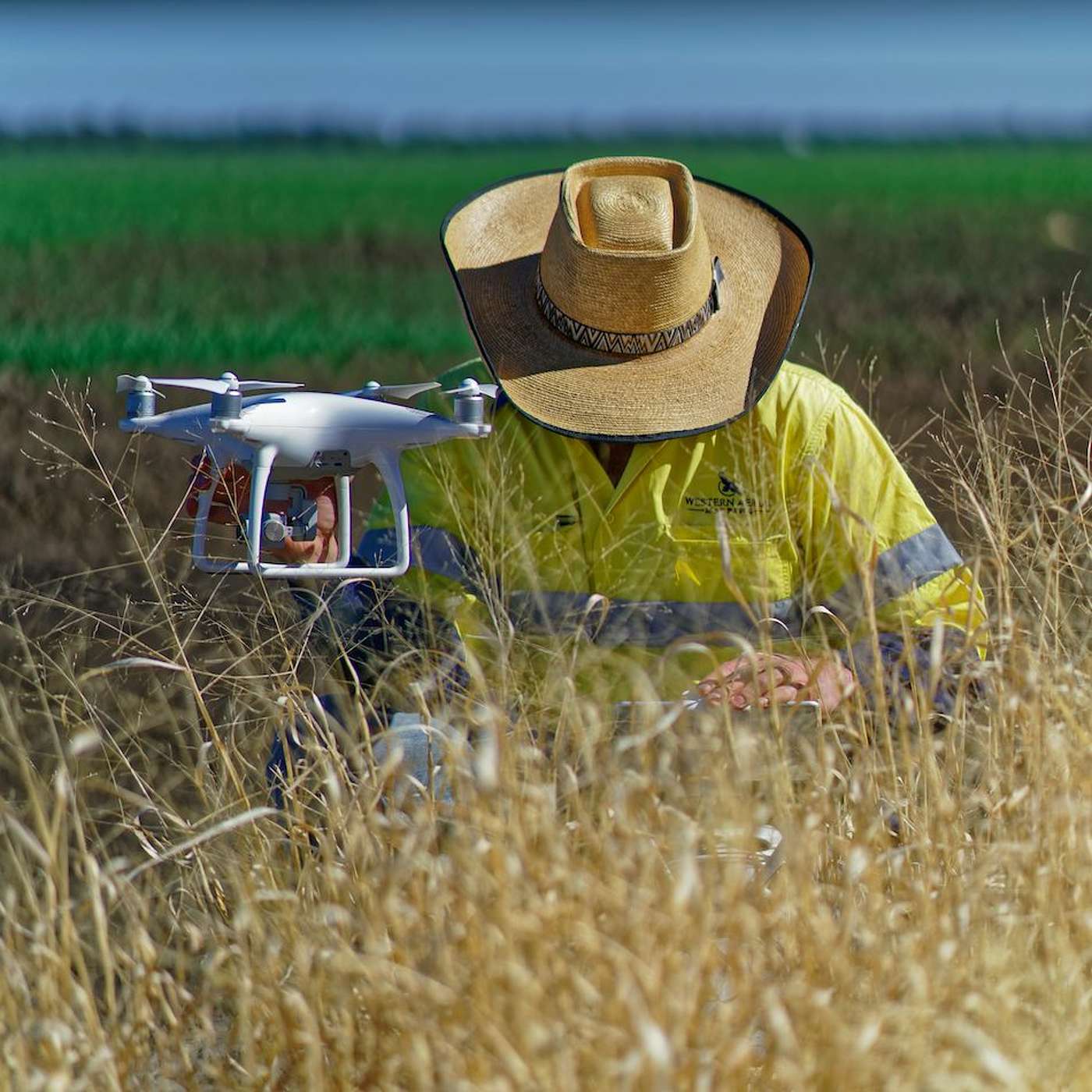 Drone to tractor fallow weed solution saving up to 95% on herbicide costs