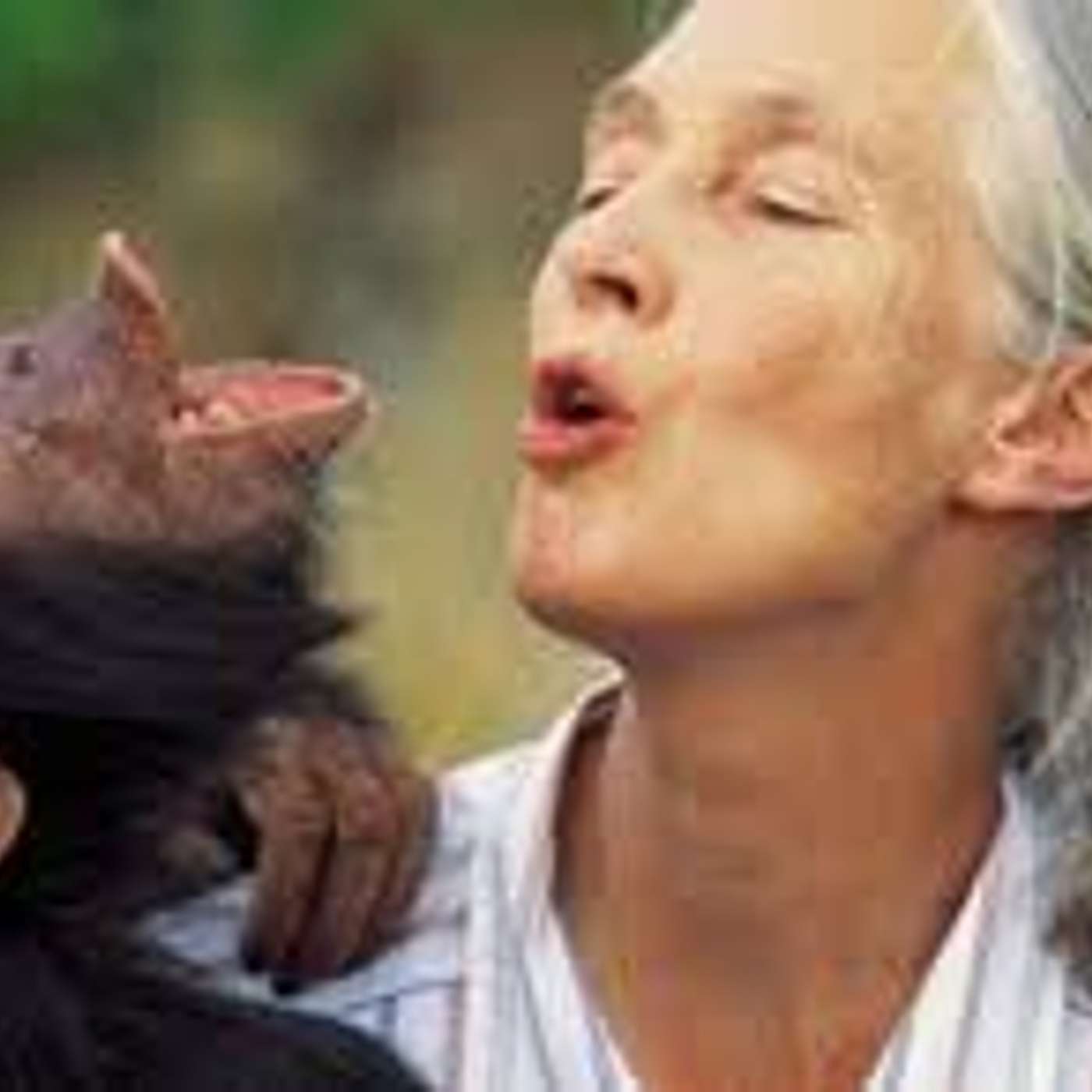 Amici per il pelo, il mondo degli animali visto e raccontato da una veterinaria