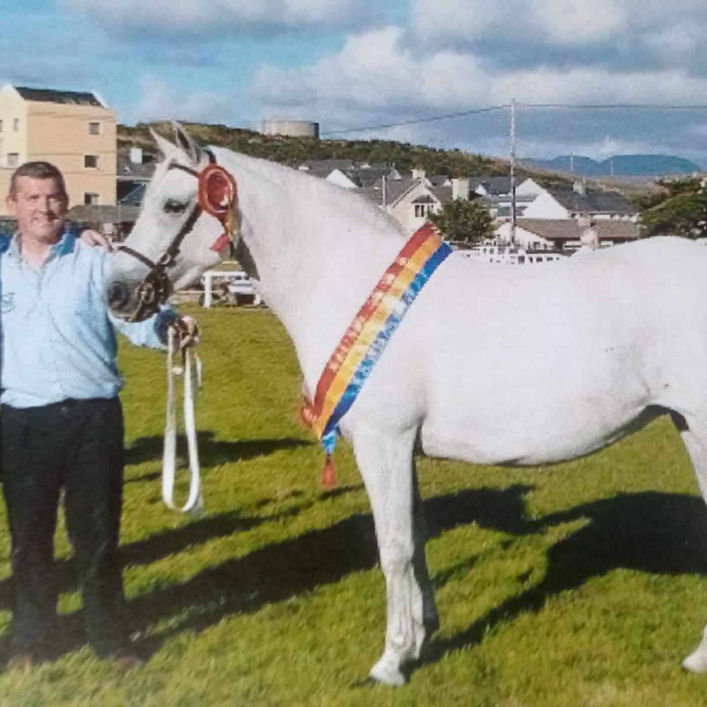Connemara Pony Tales