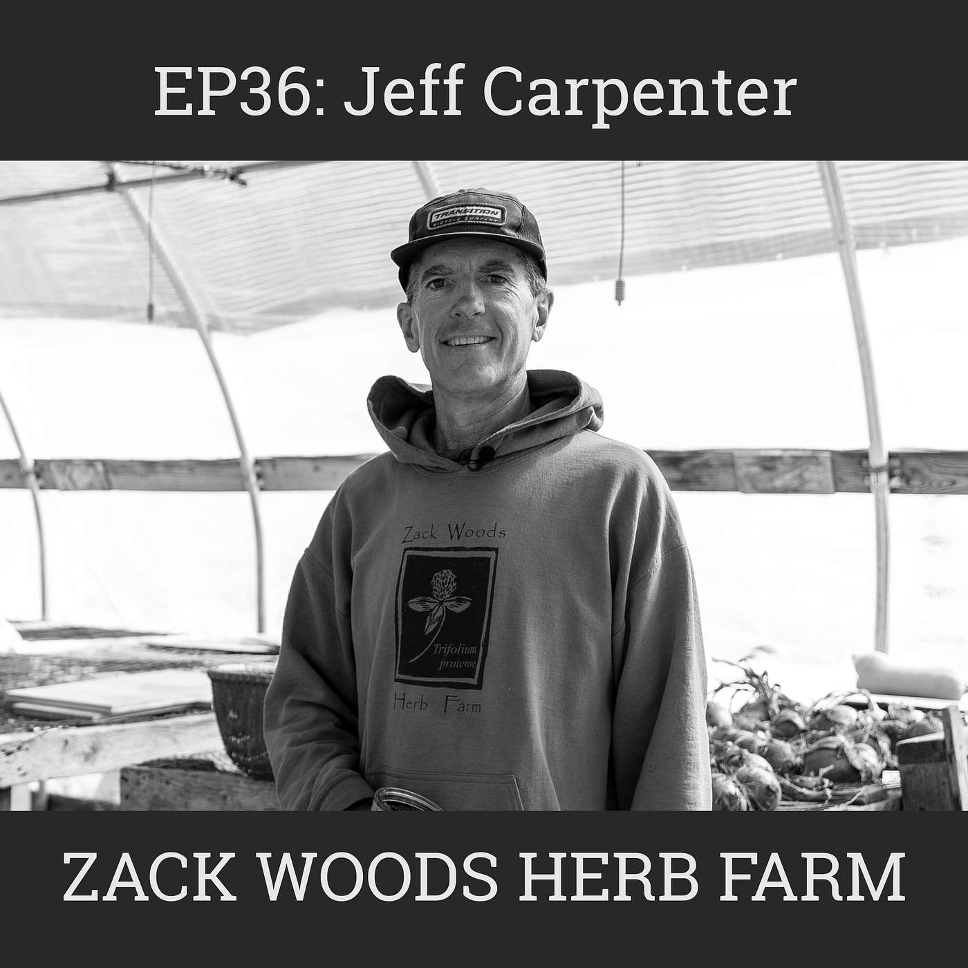 Growing, Drying and Selling Medicinal Herbs with Jeff Carpenter of Zack Woods Herb Farm: EP36