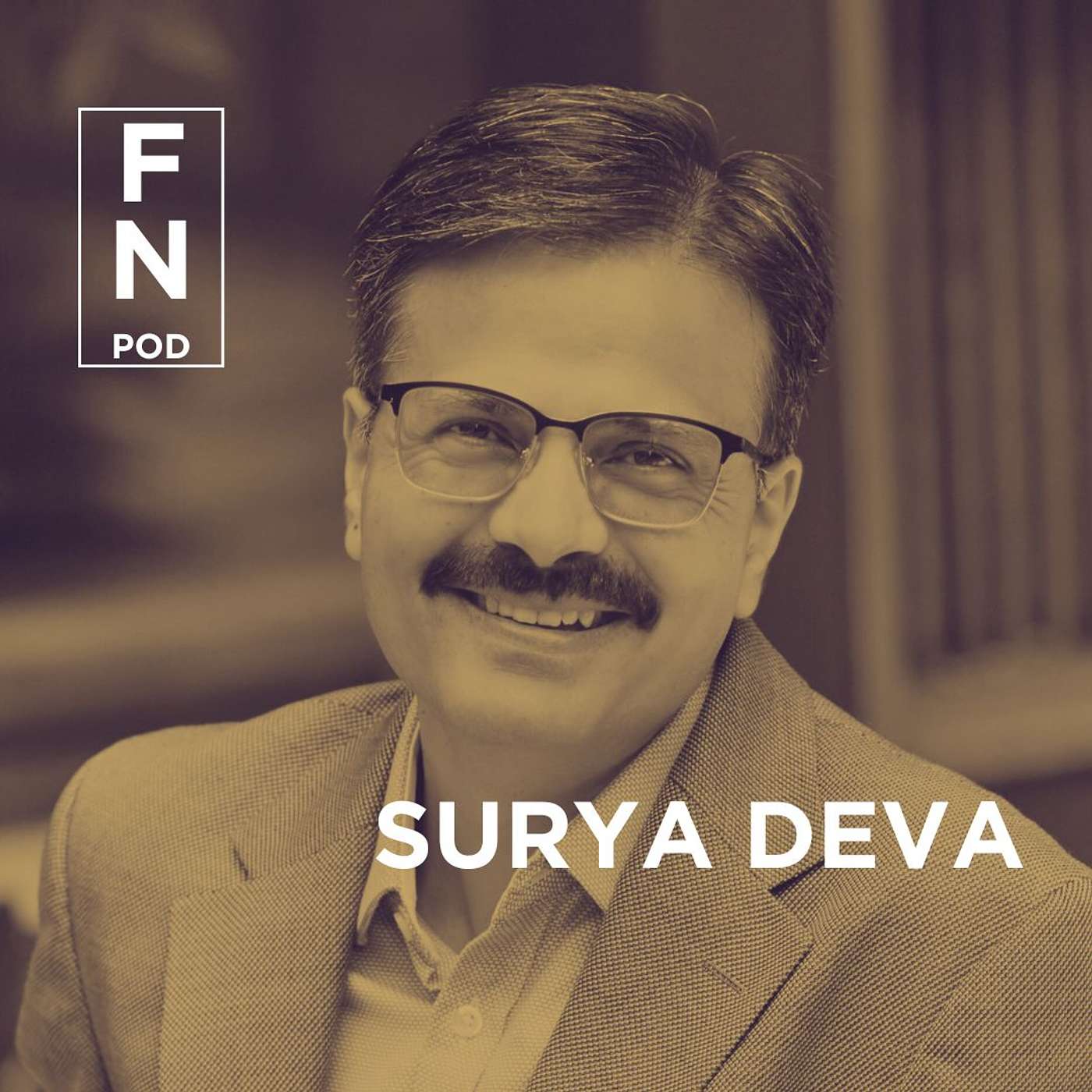 Reinvigorating Humanity's Relationship To Earth and Time - Surya Deva is the Special Rapporteur For This Moment episode artwork