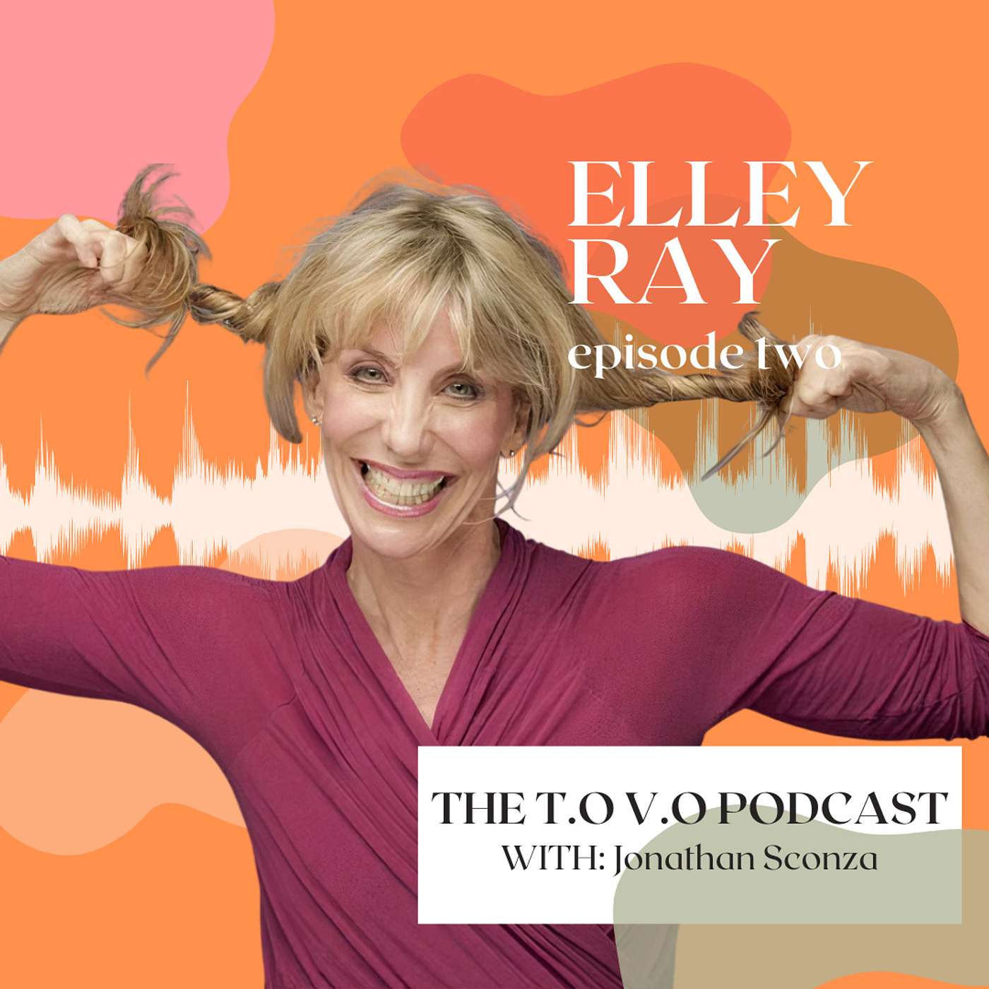 The TO VO Podcast