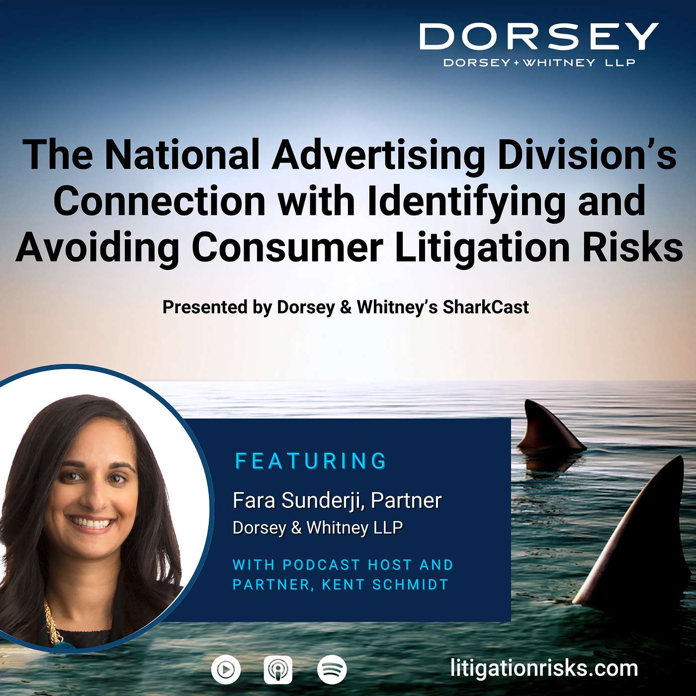 The National Advertising Division’s Connection with Identifying and Avoiding Consumer Litigation Risks