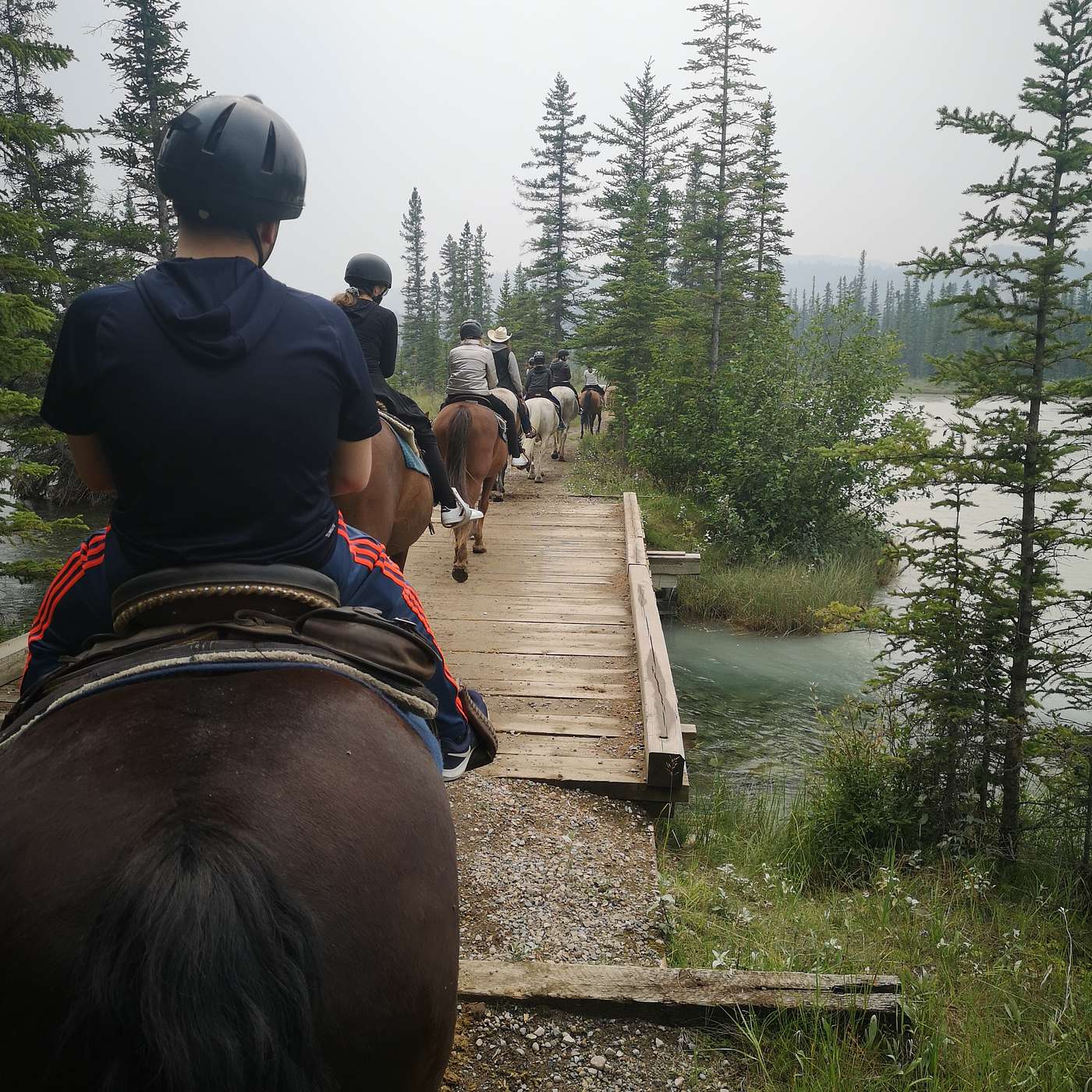 Episode 576 - No Horsing Around!