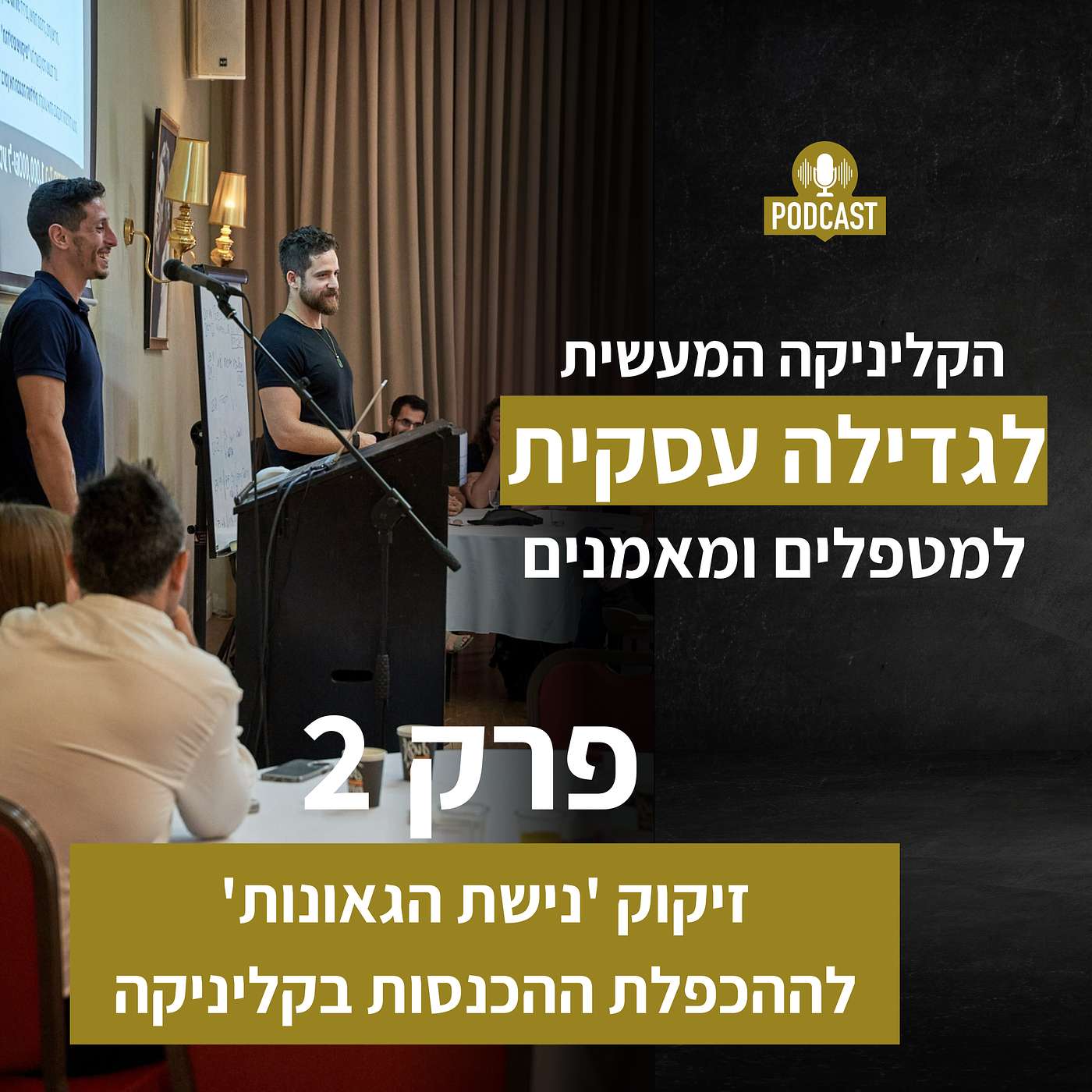 זיקוק 'נישת הגאונות' לההכפלת ההכנסות בקליניקה episode artwork