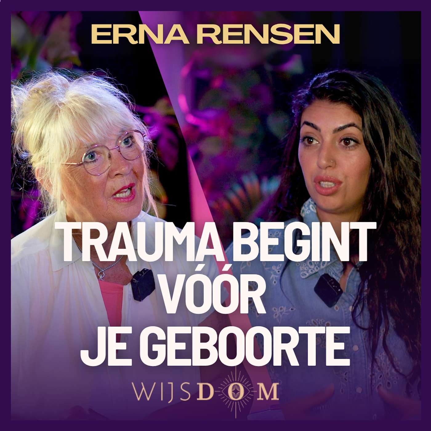 WijsDom Podcast