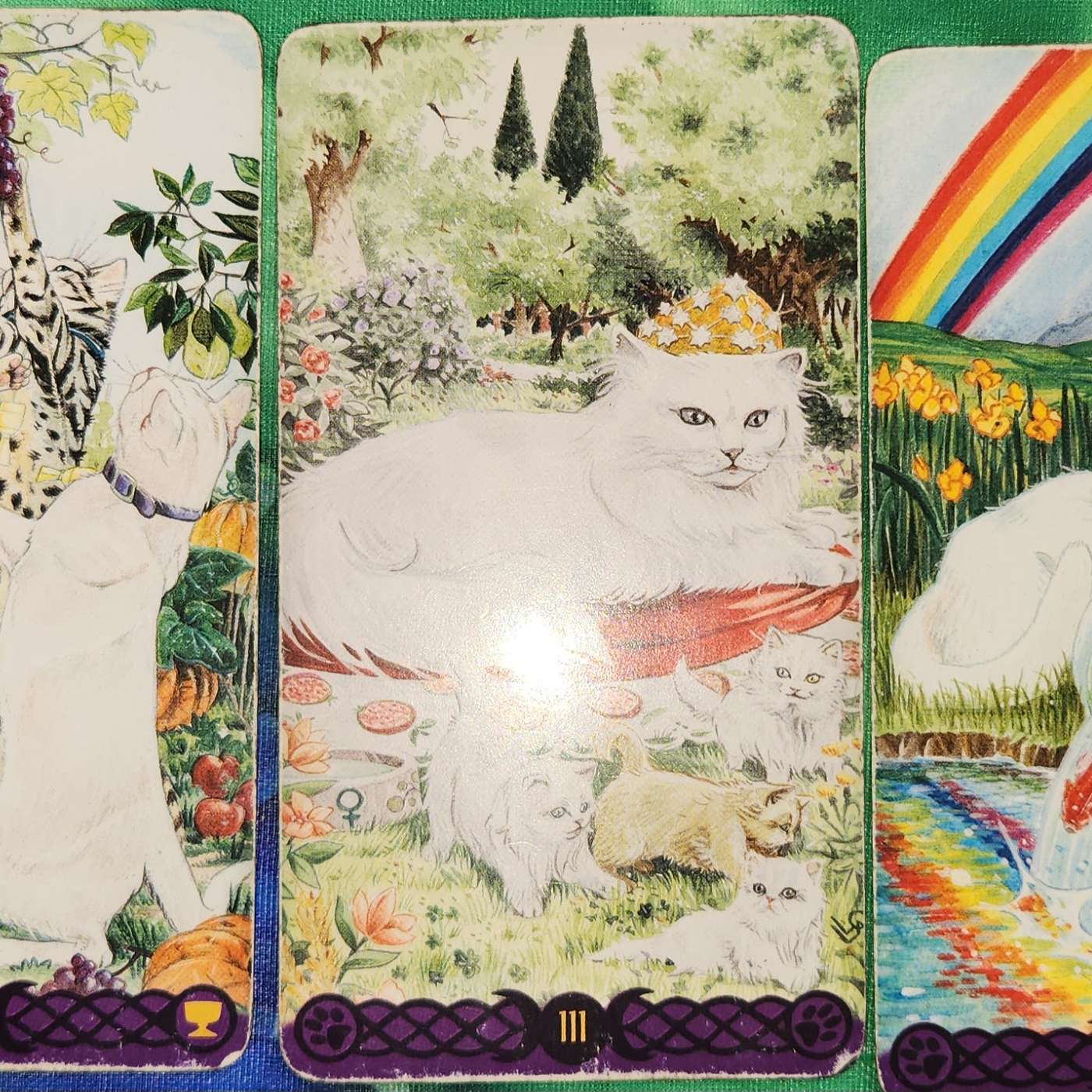 Tarot Talks with Edith Mary