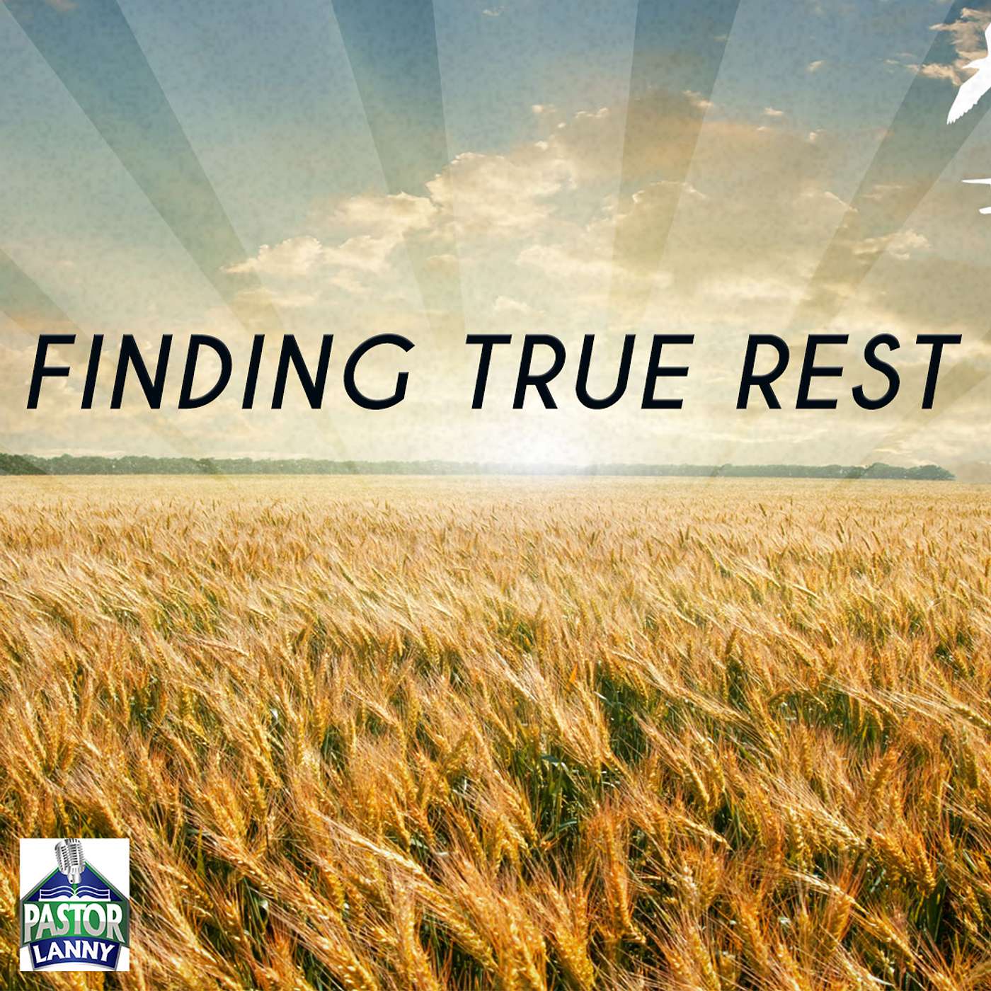 Intersections: Faith and Culture