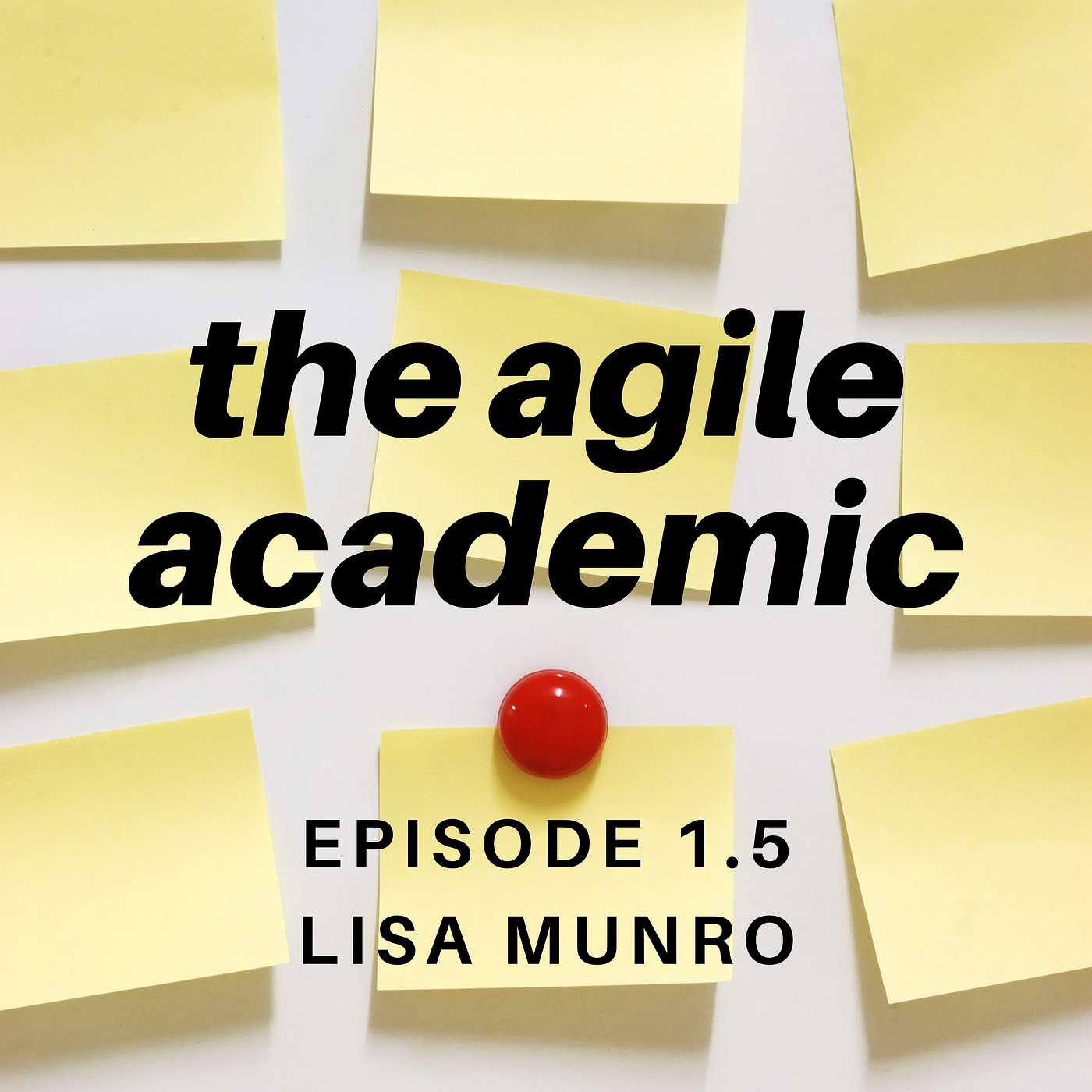 the agile academic