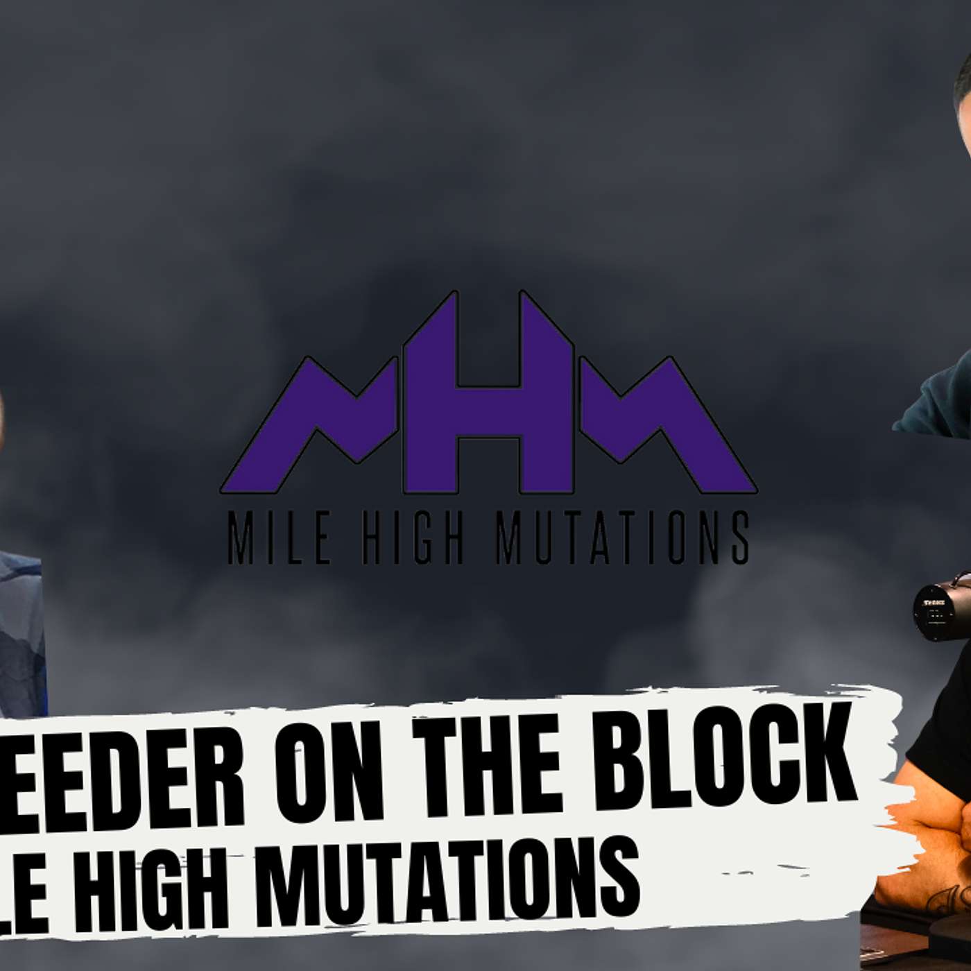 WHEN IT'S TIME TO BEEF UP YOUR BALL PYTHON PROJECTS | NEW BREEDER ON THE BLOCK LIVE