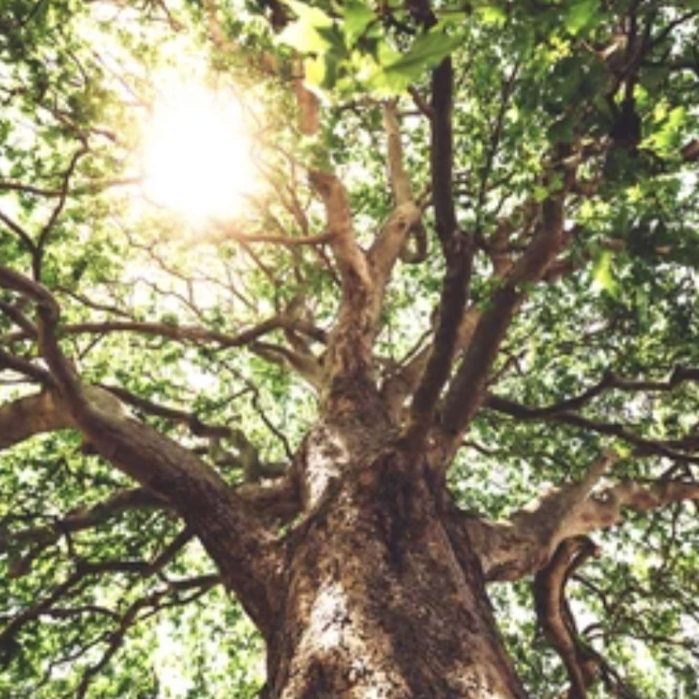 College Student, Izzy Talks About What It’s Like Having a Narcissist For a Father, His Career Choice and Accountability Within the Family Court System