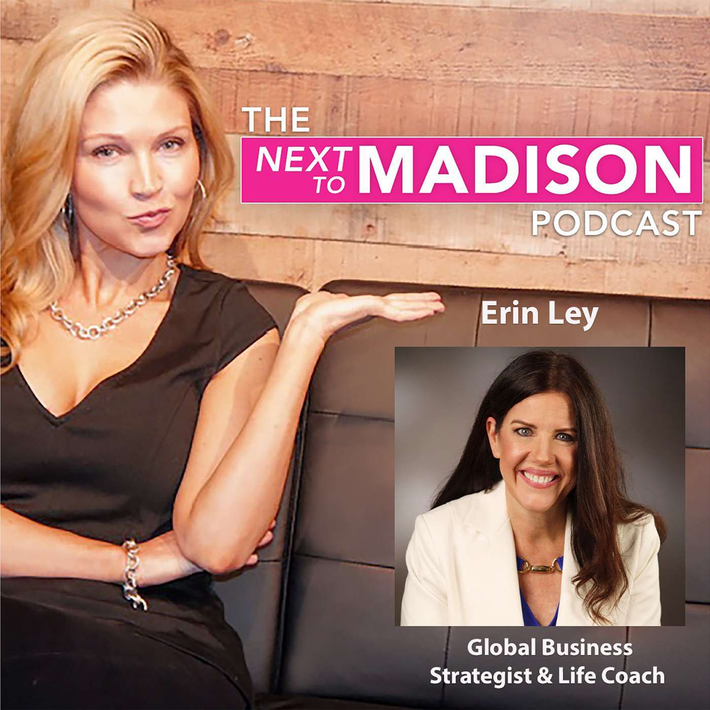 Harnessing the Mind w/ Global Strategist & Life Coach Erin Ley: Overcoming Adversity, Decisive Actions & Crafting Happiness episode artwork