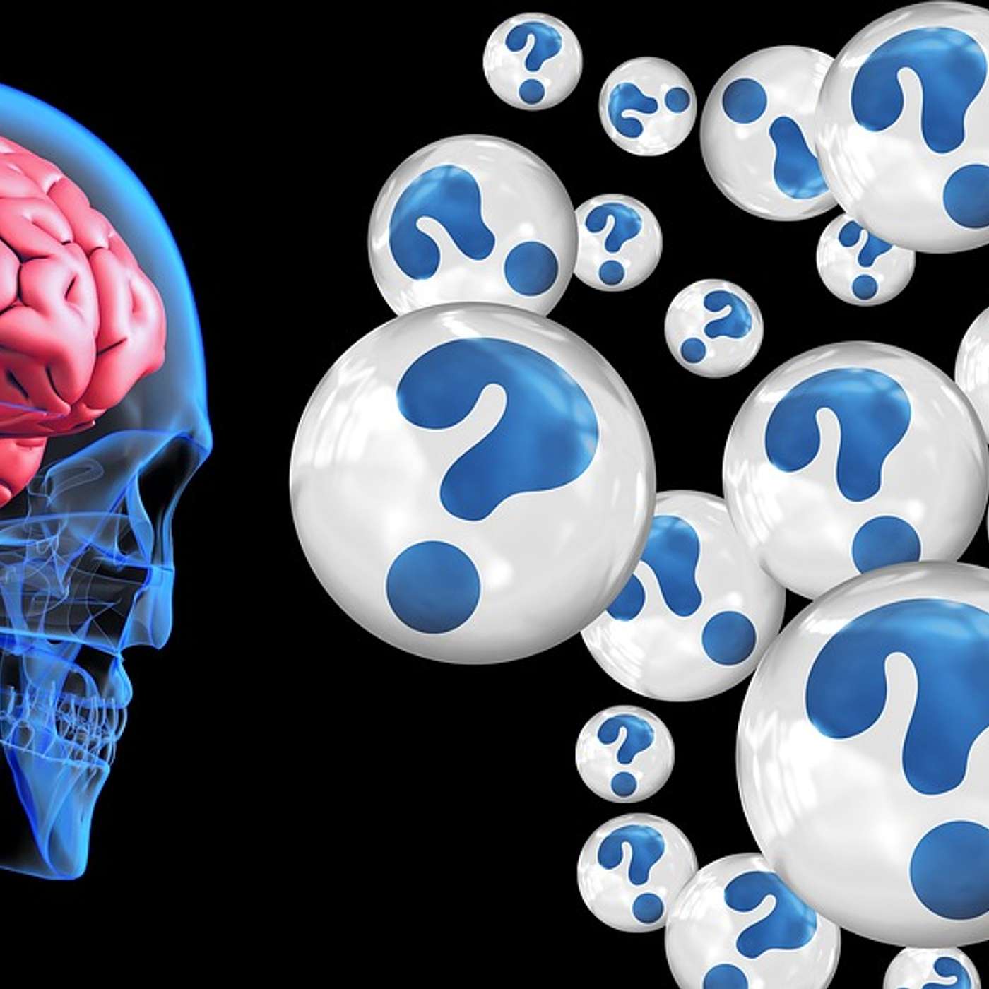 How Primate Brains Differ From Humans