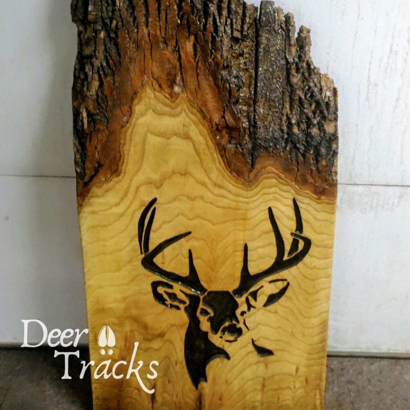 Deer Tracks