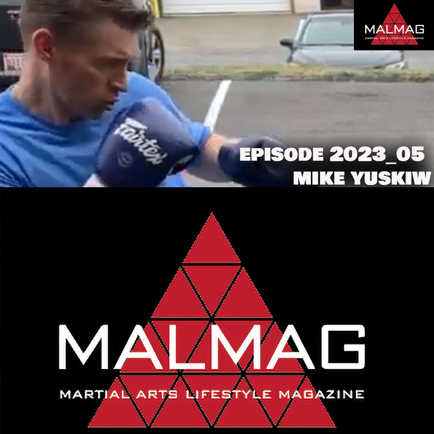 The Martial Arts Lifestyle Podcast