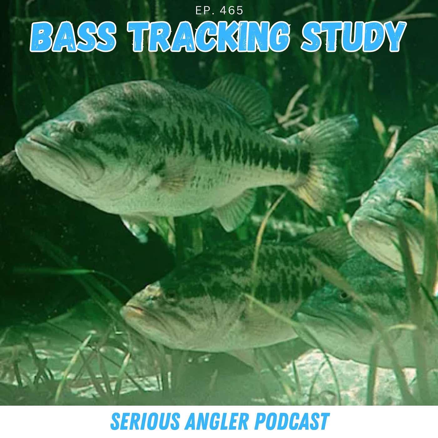 New Bass Fishing Study with Biologists Steven Bardin and Jake Norman