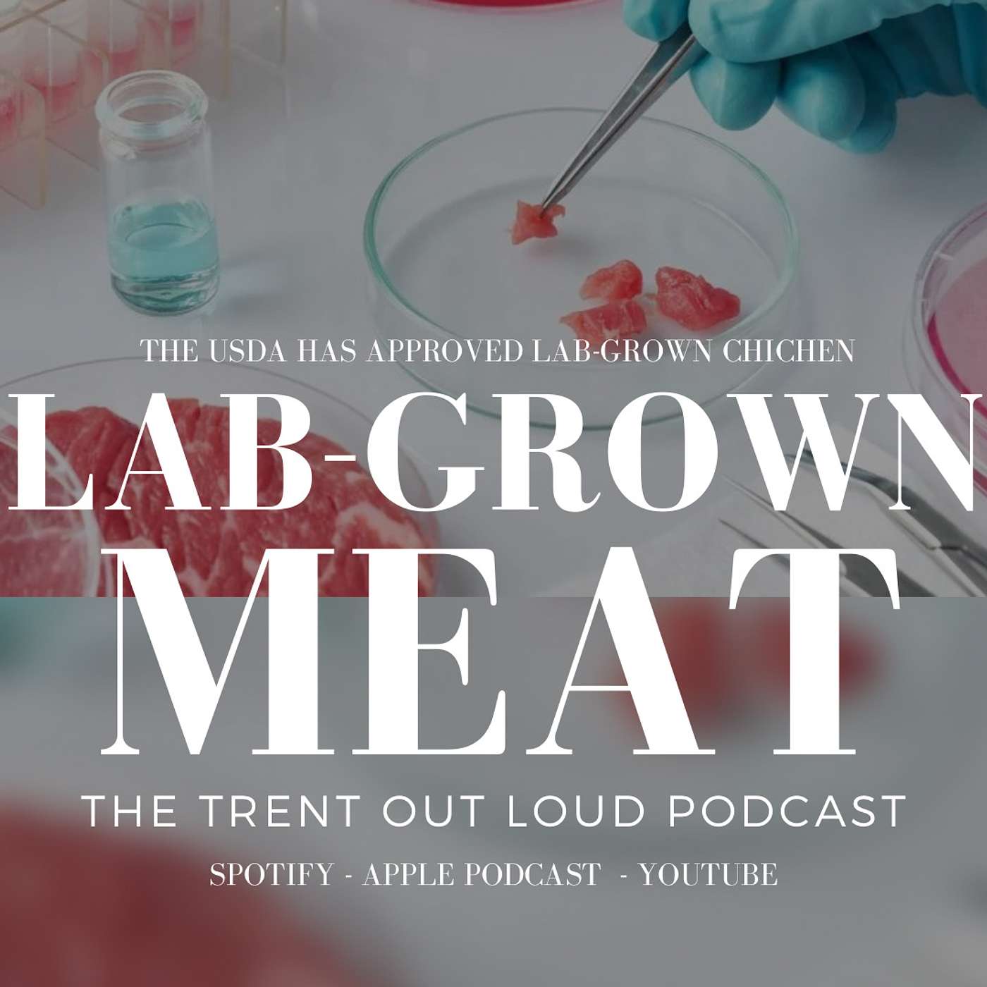 084: USDA Approves First Lab-Grown Chicken in the United States.