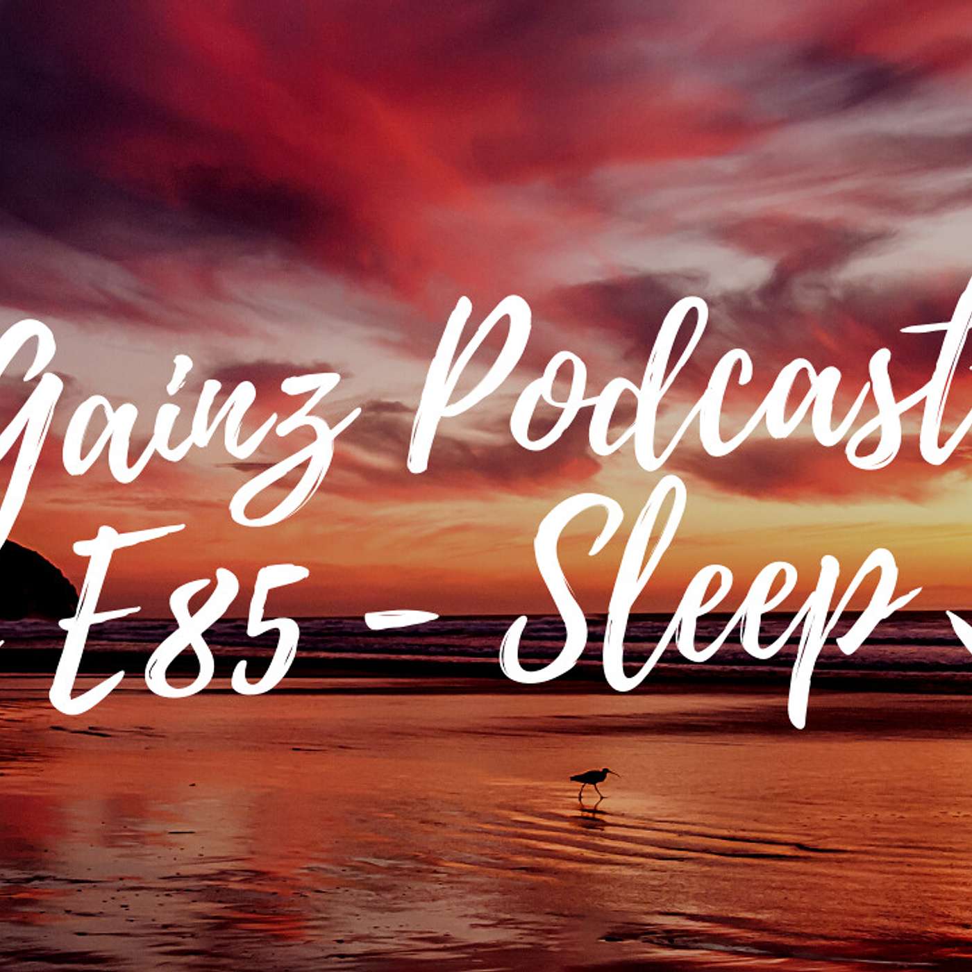 Gainz Podcast