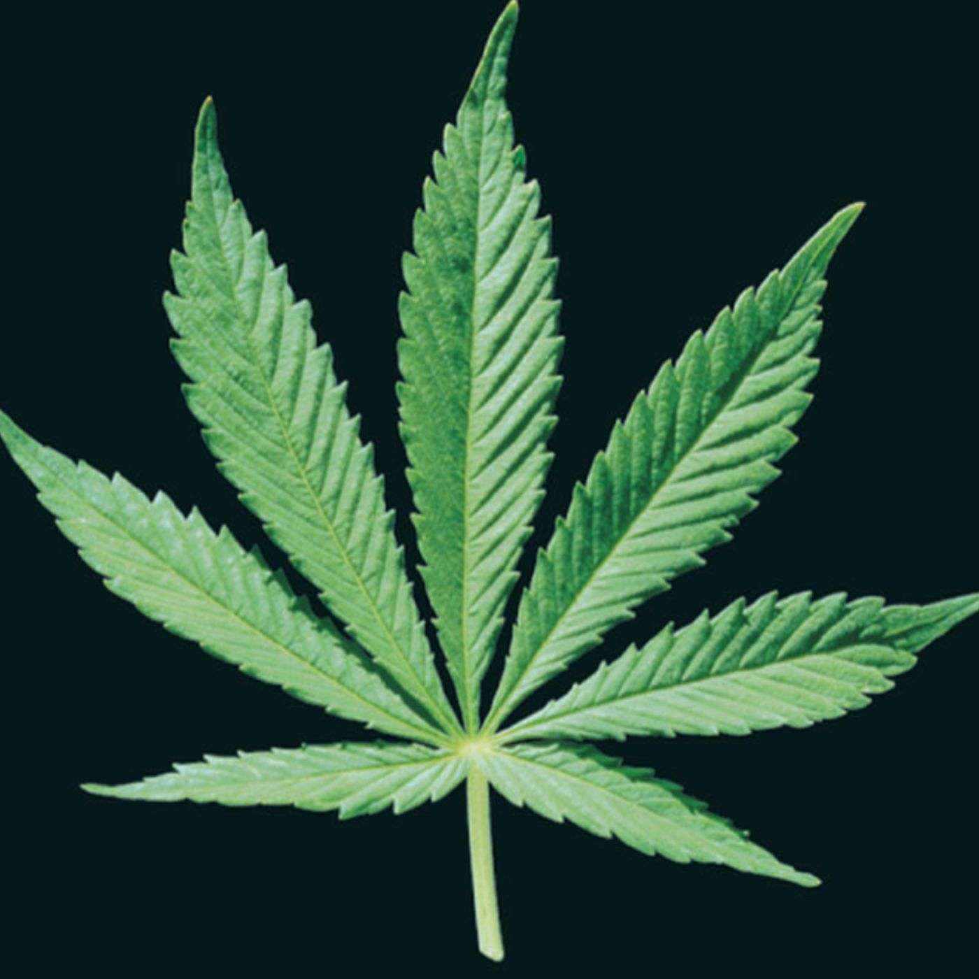 EPISODE 5: Christians & weed episode artwork