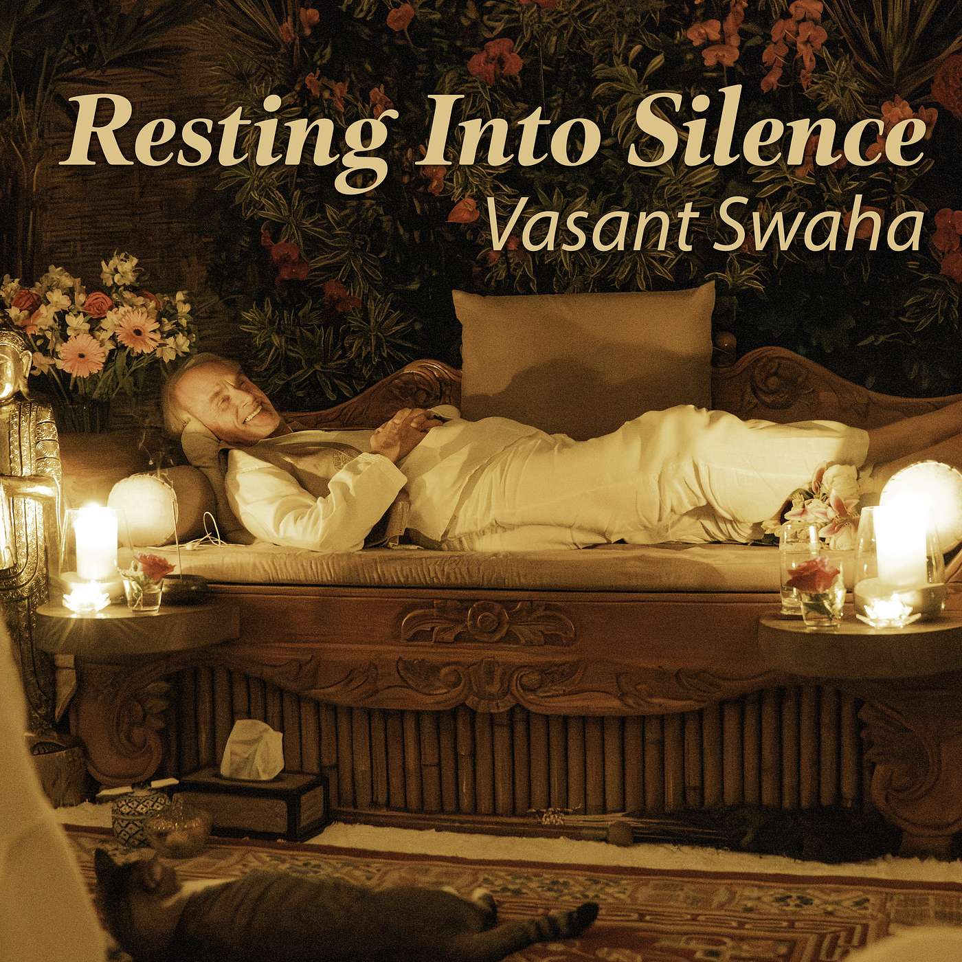 Satsang with Swaha - Audio