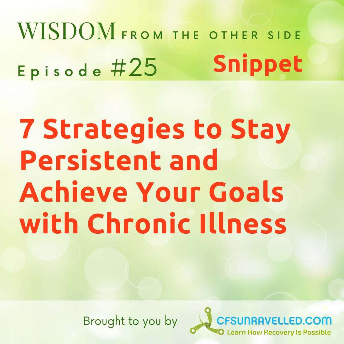 Wisdom From The Other Side Of Recovery from Fibromyalgia, ME, CFS, POTS & MCS