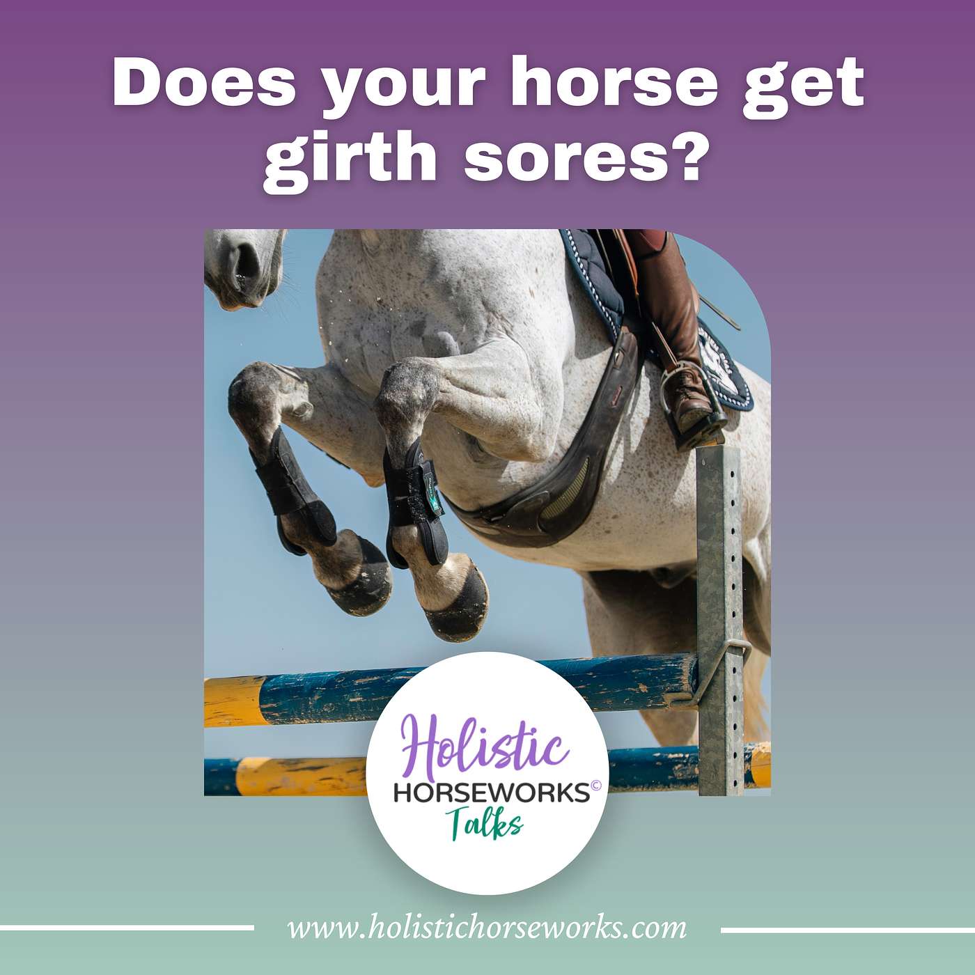 Holistic Horseworks Talks with April Love