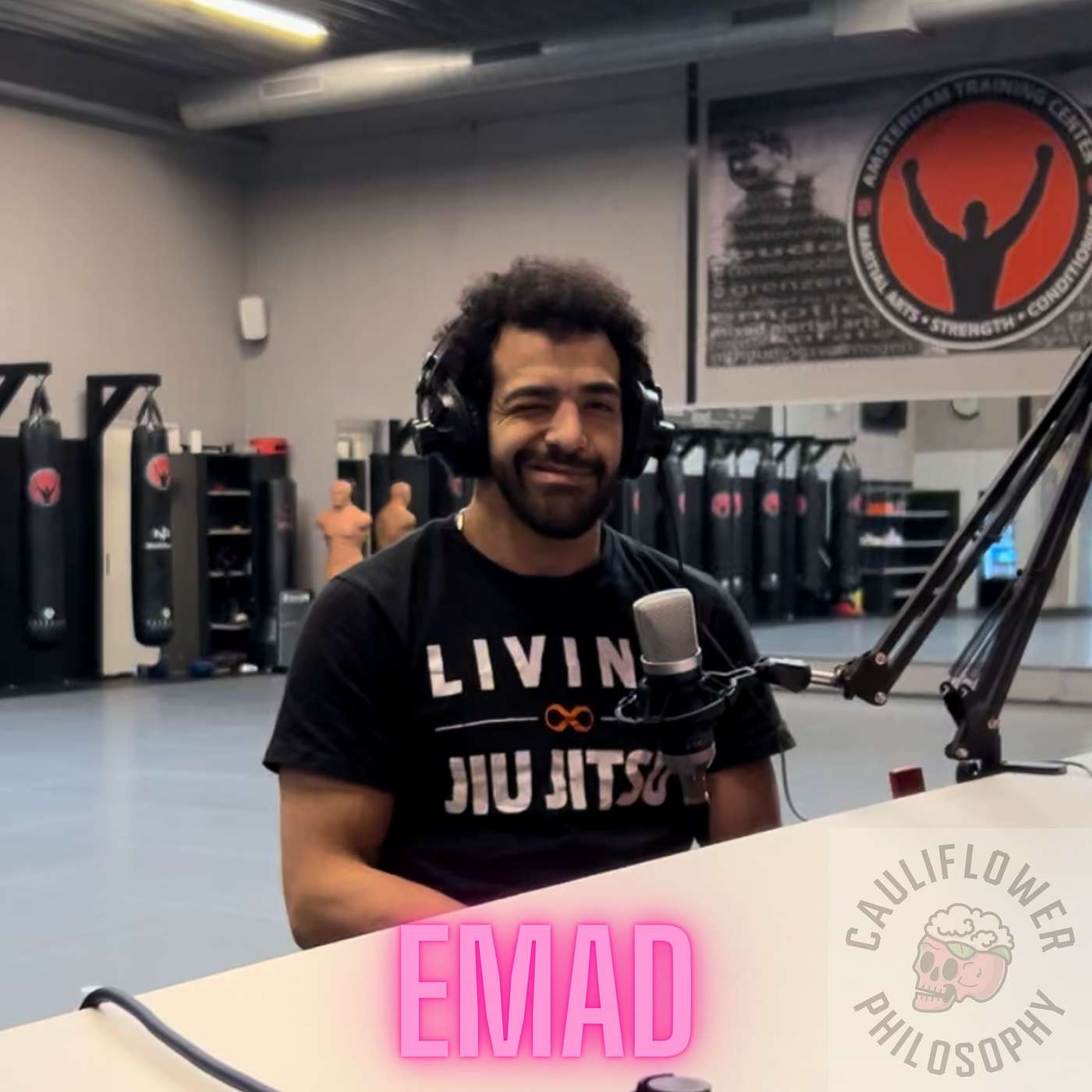 Cauliflower Philosophy 36 - Emad 3 ( on seminars )