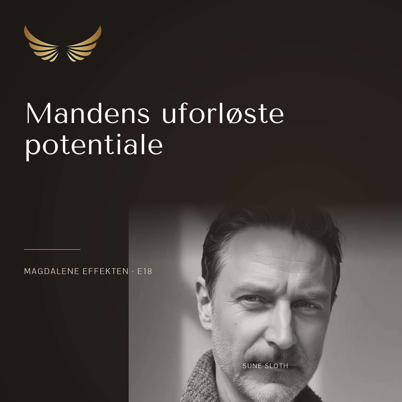 E18: Mandens uforløste potentiale episode artwork