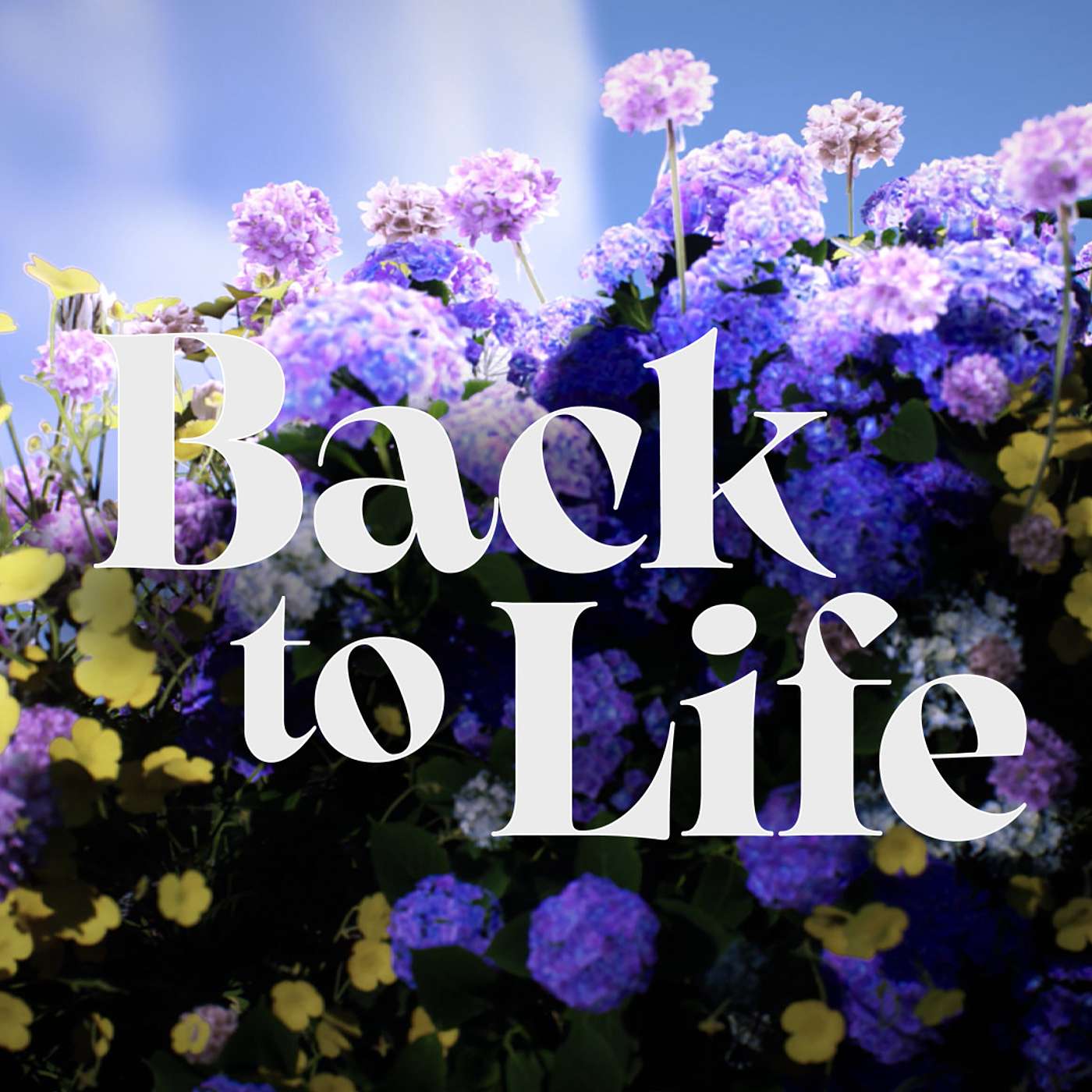 Back To Life #2 : a CCW Sermon: 16th of April, 2023. episode artwork