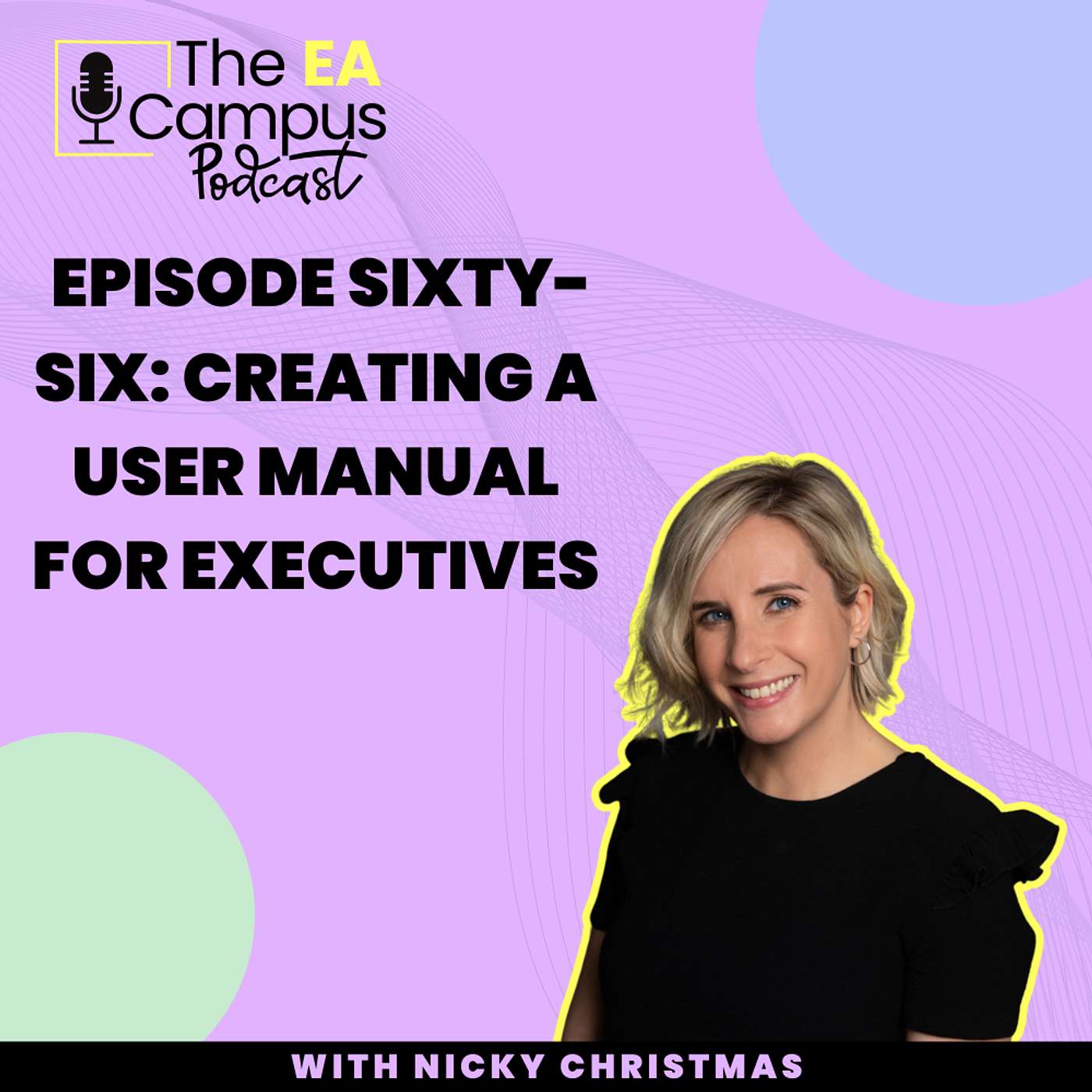 Ep66: Creating a User Manual for Executives