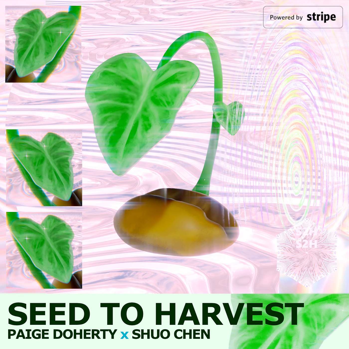 Seed to Harvest