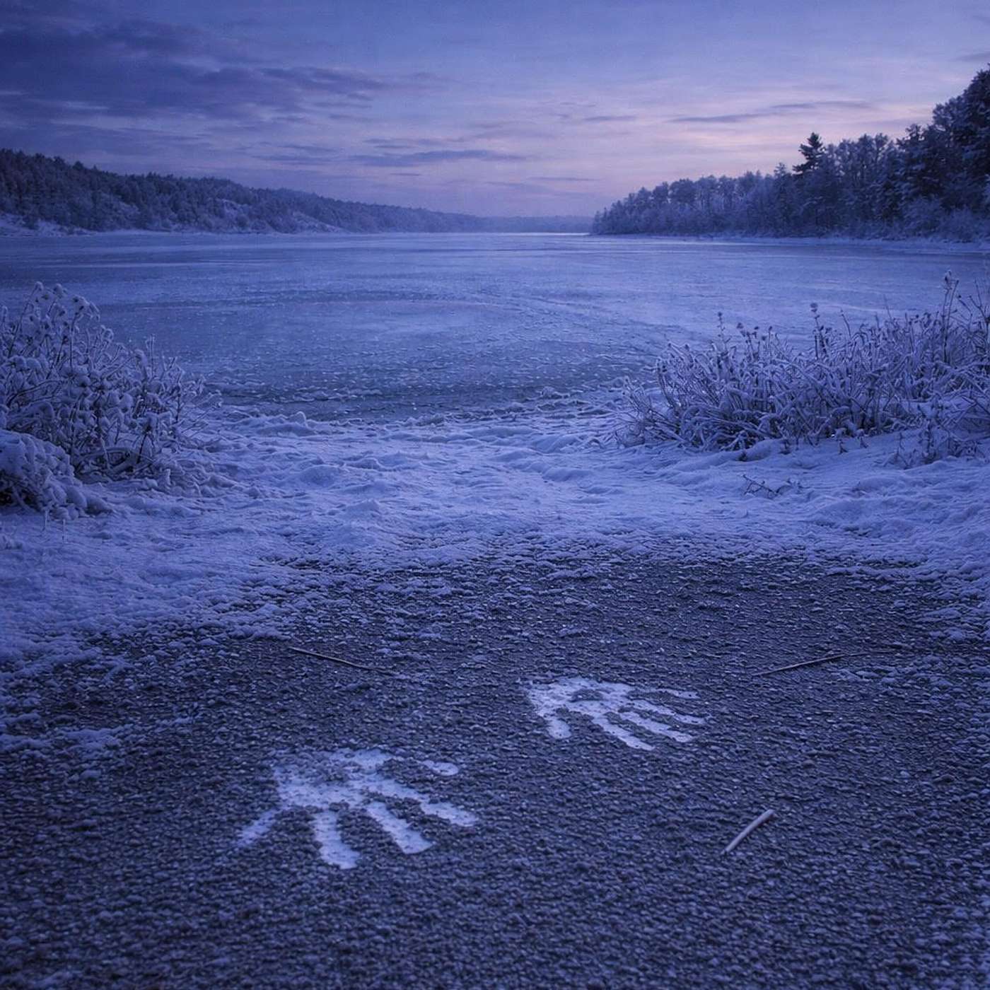 Midwinter Hush Midwinter Hush