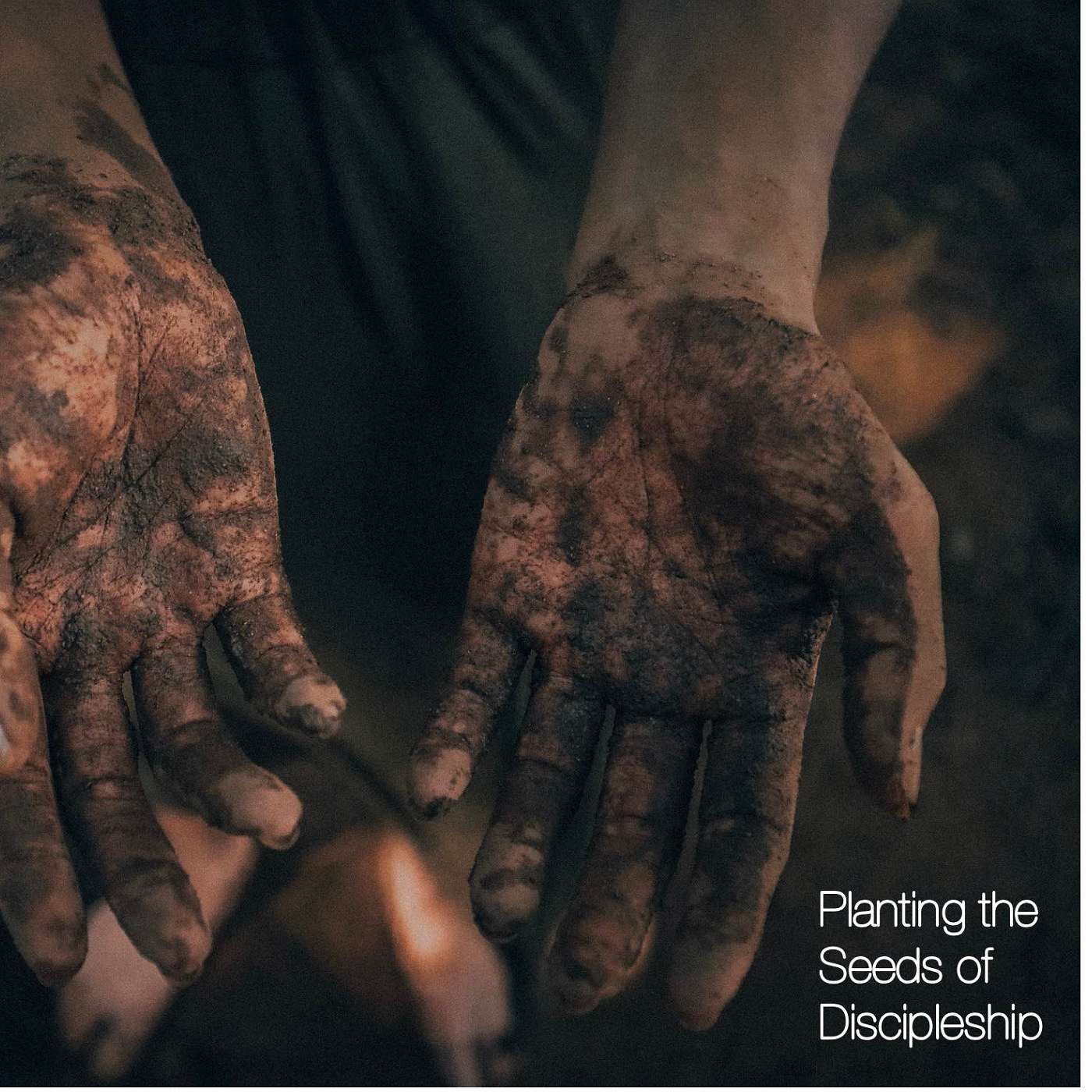 8-15-21 Live a Good Story: Planting Seeds of Discipleship episode artwork