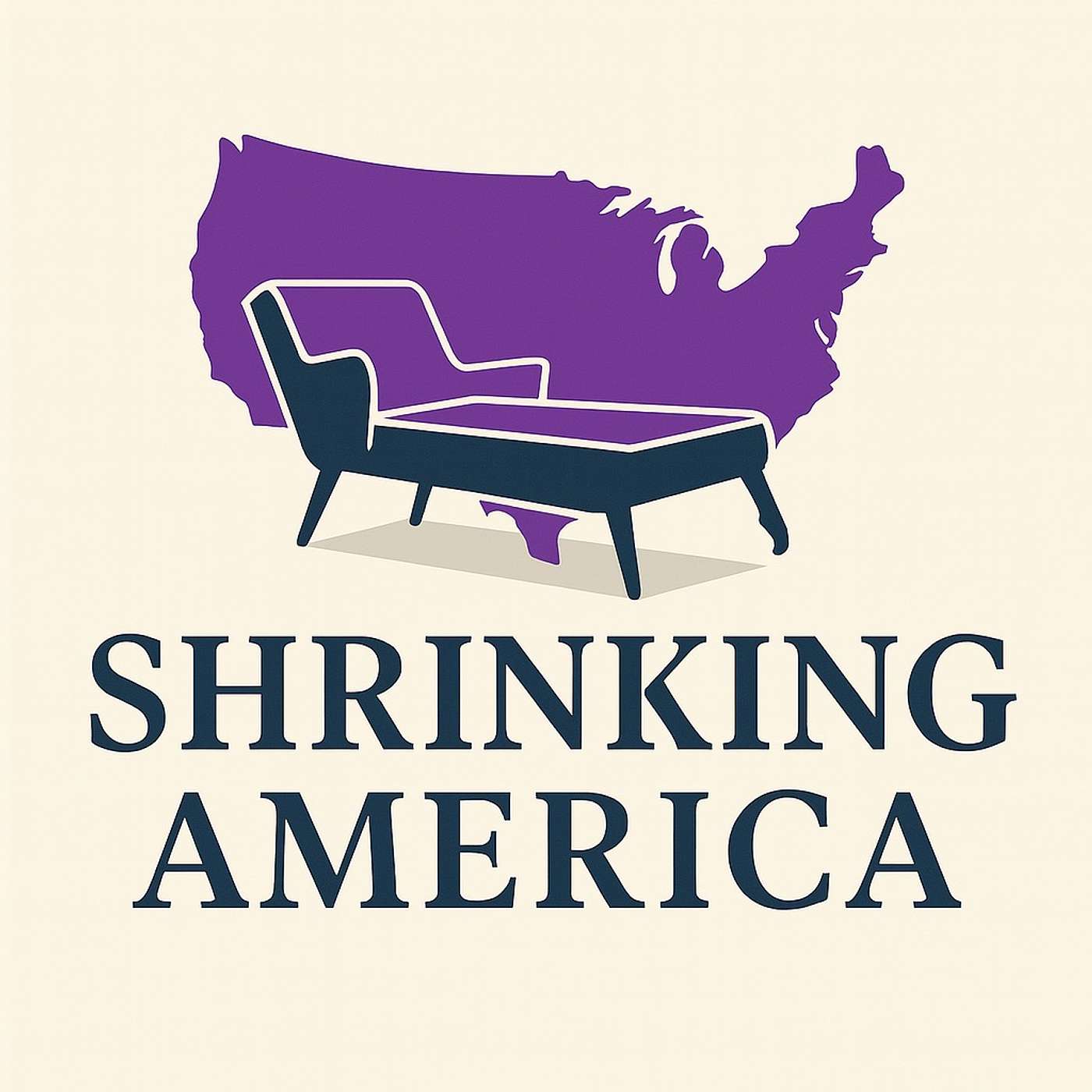 Shrinking America